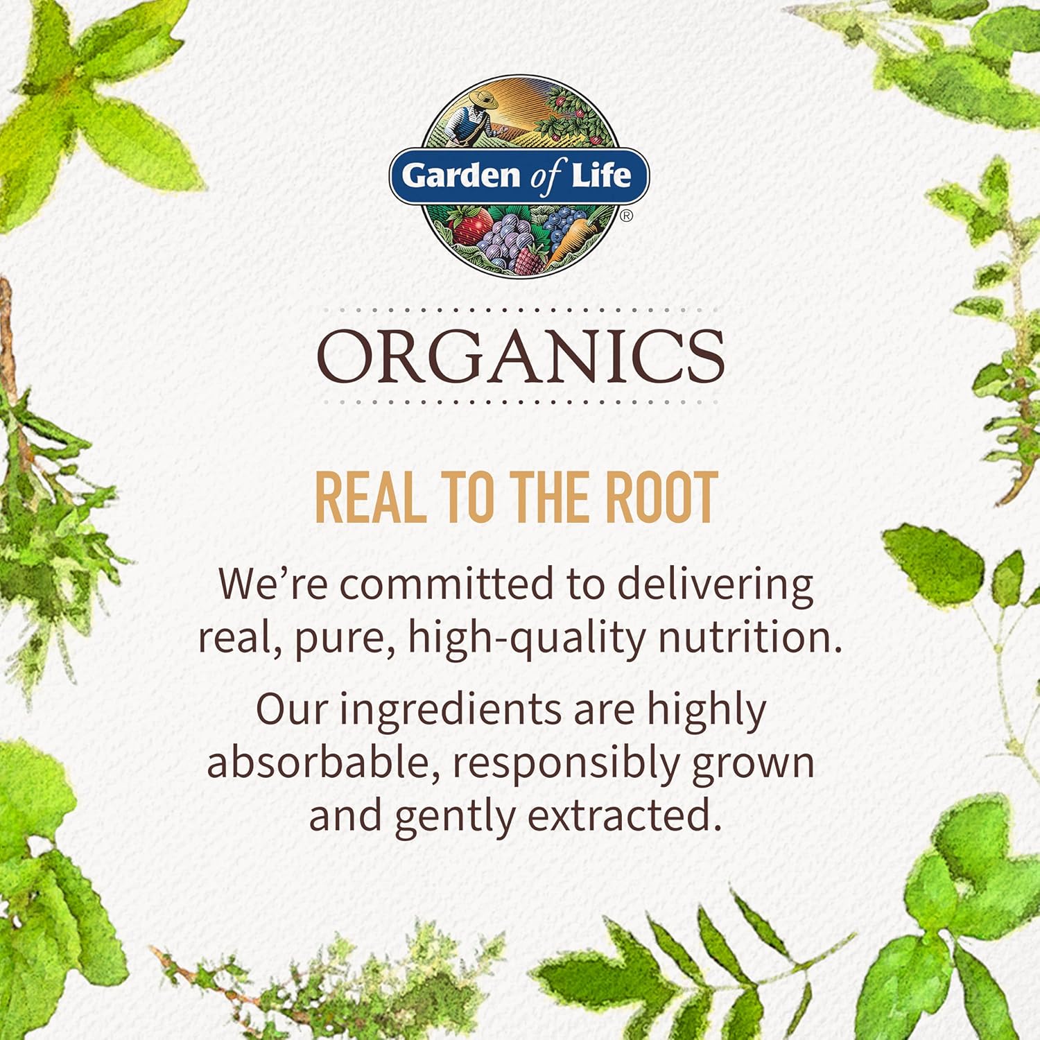 Garden of Life Organics Plant Based Elderberry Immune Syrup 6.59 floz (195 mL) for Kids & Adults - Sambucus, Echinacea, Zinc & Vitamin C, 0g Sugar, Organic Vegan Gluten Free Herbal Supplement - Image 10