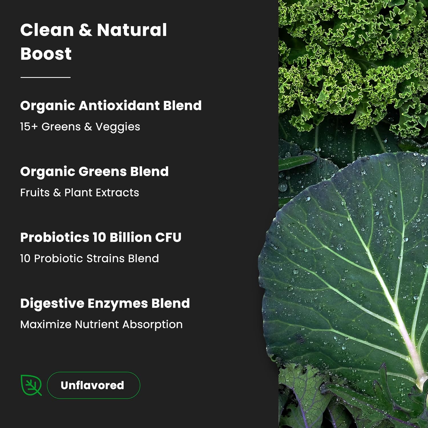 NutraChamps Super Greens Powder Premium Superfood | 20+ Organic Green Veggie Whole Foods | Alfalfa, Spirulina, Chlorella & More | Antioxidant, Digestive Enzyme & Probiotic Blends | Unflavored | 60 SVG - Image 4