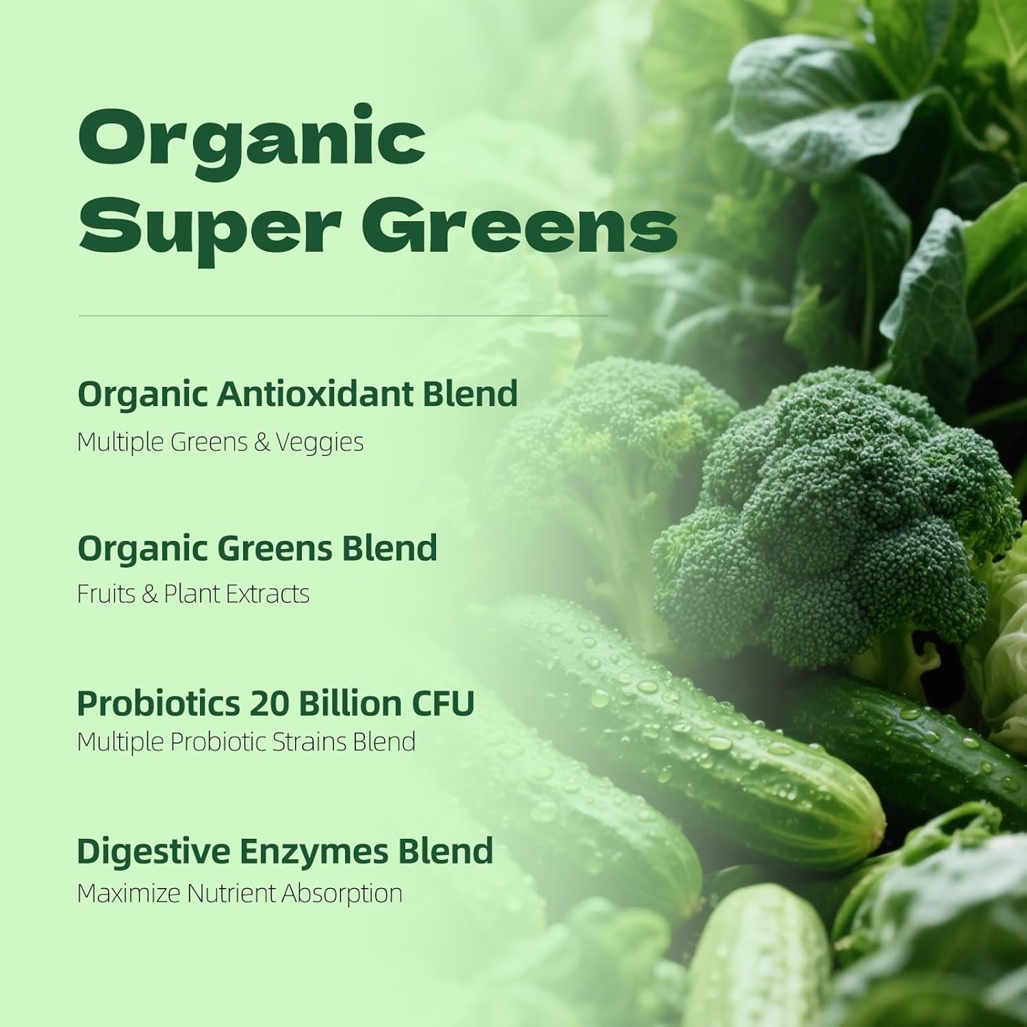 Organic Super Greens Powder for Intestinal Health, Superfood Greens with Probiotics, Moringa, Spirulina,Gluten Free Supergreens for Boosting Energy,Bloating Relief for Women 40 Servings - Image 3