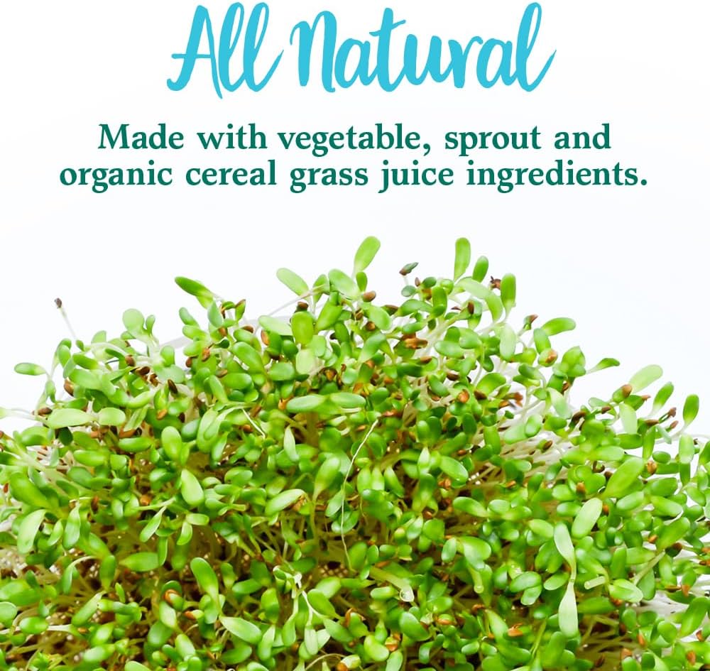 Garden of Life Perfect Food Super Green Formula - 60 Servings, 45 Superfoods, Greens, Fruit & Veggie Juice Superfood Powder Supplement, Probiotics & Organic Spirulina for Digestion & Immune Health - Image 7