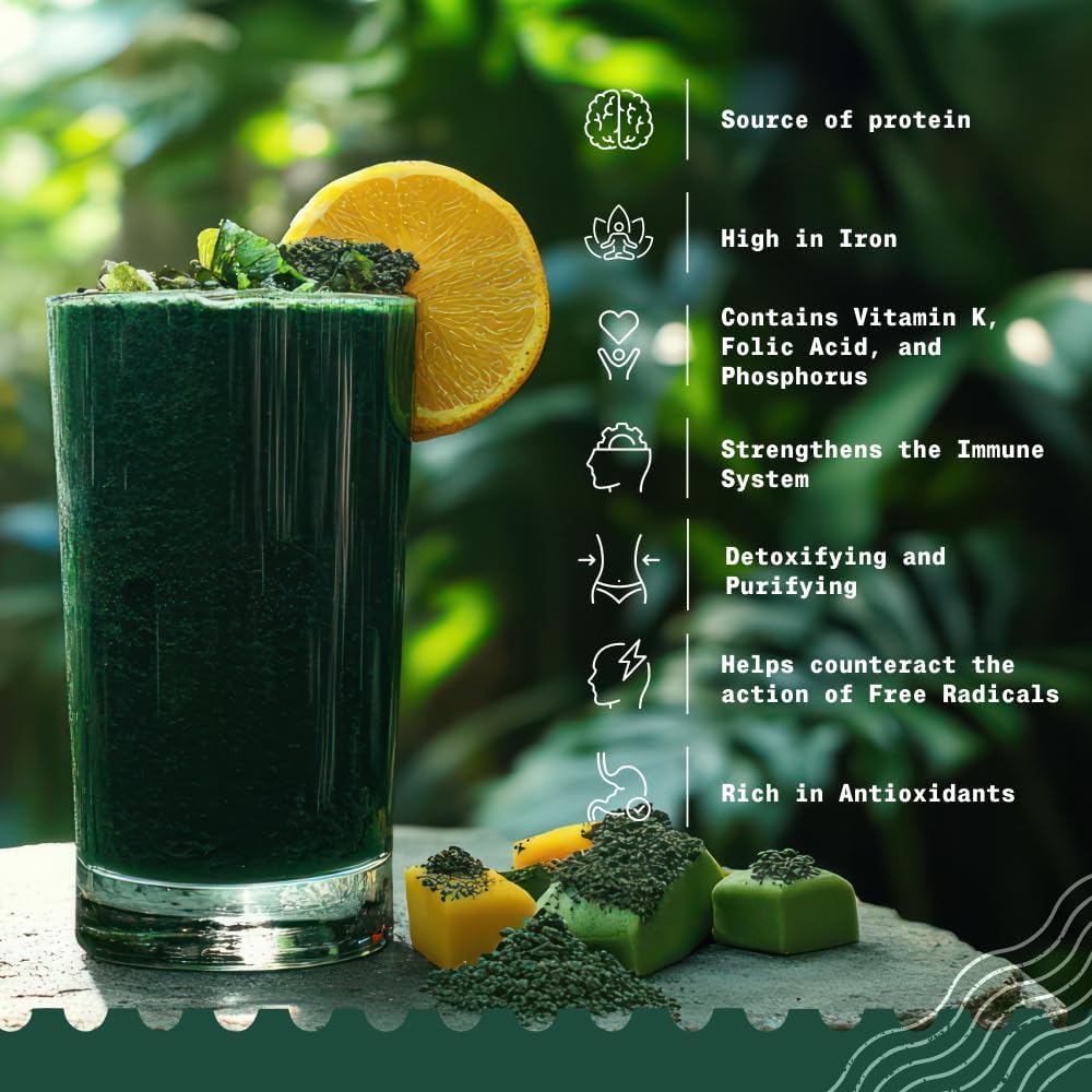 NaturaleBio Spirulina Powder Organic 8 oz. Natural and Raw Spirulina Algae Powder. Vegan and Pure. Cultivated in India in Tamil Nadu. Ideal for Drinks, Smoothies and Recipes. - Image 3