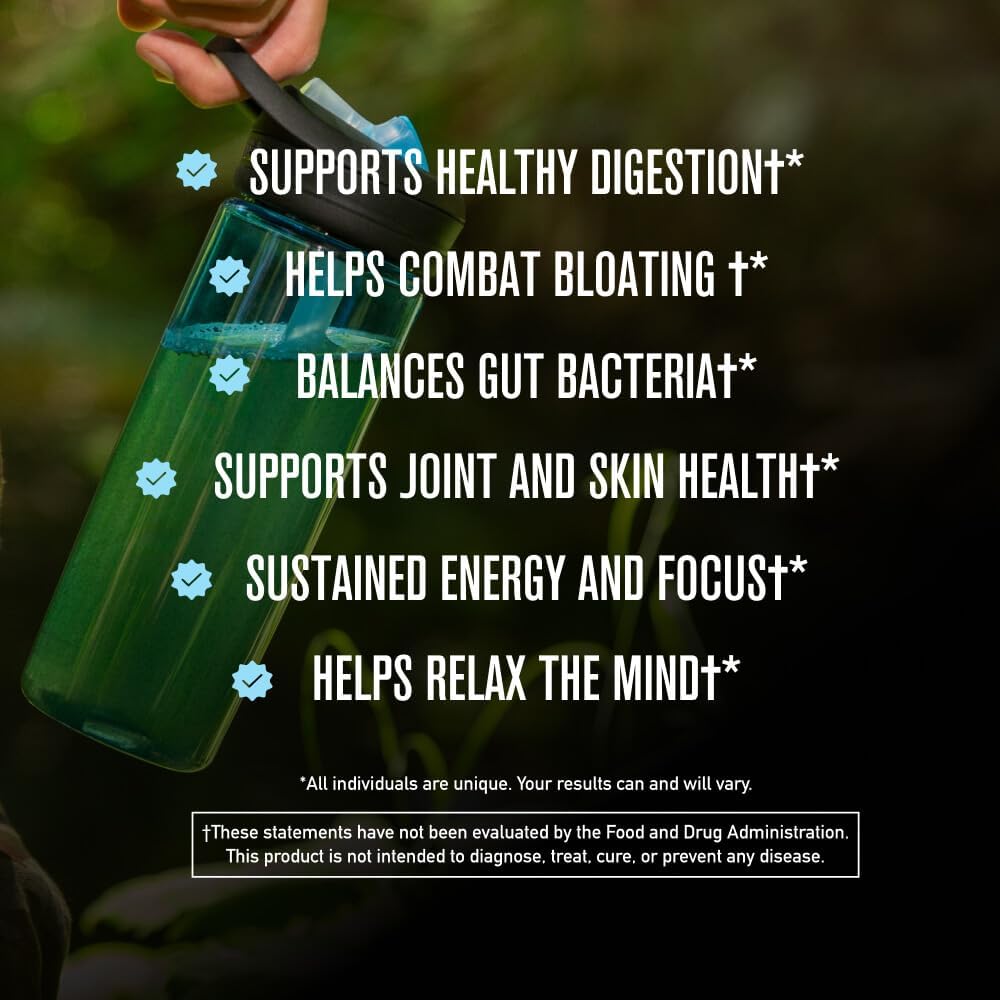 ROUNDHOUSE PROVISION Morning Kick, Greens Superfood Powder Supplement with Ashwagandha, Collagen & Probiotics - Sugar Free, Caffeine Free (3 Pack, Strawberry Lemonade Flavor) by Chuck Norris - Image 2