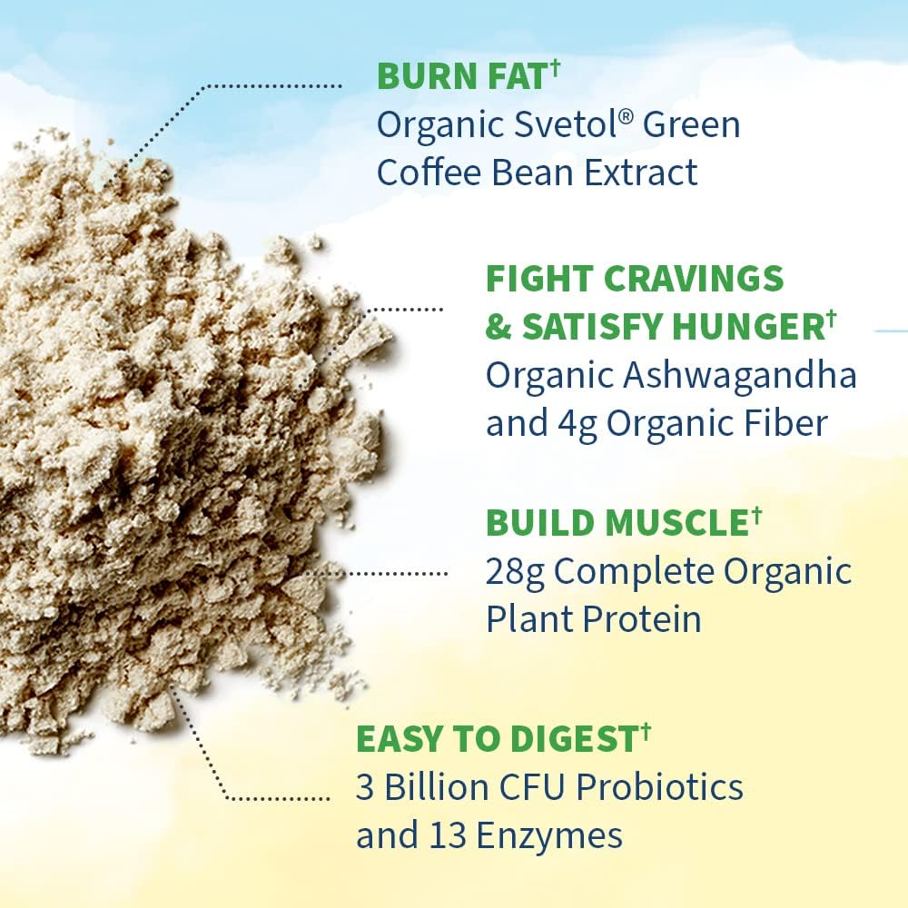 Garden of Life Raw Organic Fit Original Flavor Vegan Protein Powder – 28g Plant Based Powder for Weight Management, Raw Protein, Probiotics & Fiber, Non-GMO, Gluten-Free, Vegan, 10 Servings - Image 4