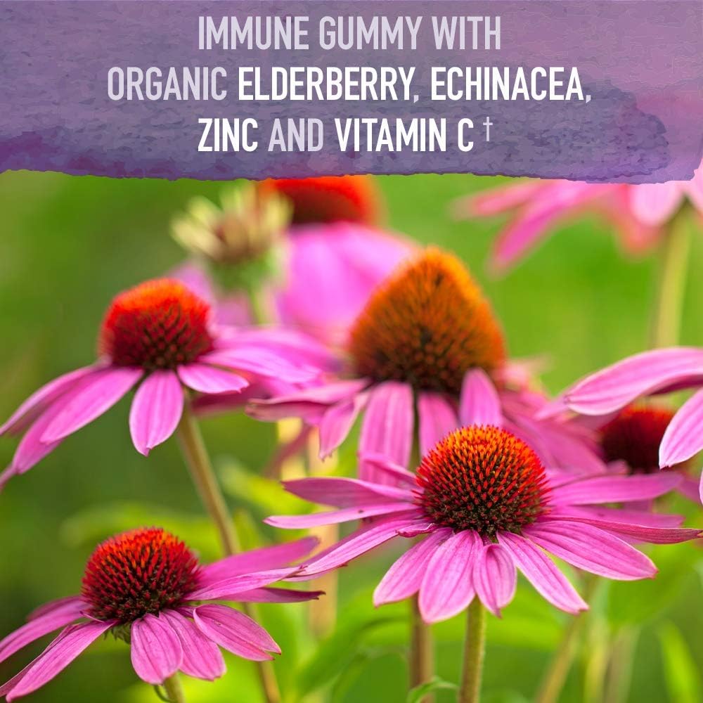 Garden of Life Organics Elderberry Gummies for Adults & Kids - Immune Support Supplement with Organic Fruit, Herbal Blend, Elderberry, Echinacea, Zinc, Vitamin C, 120 Vegan Gluten Free Gummies - Image 2
