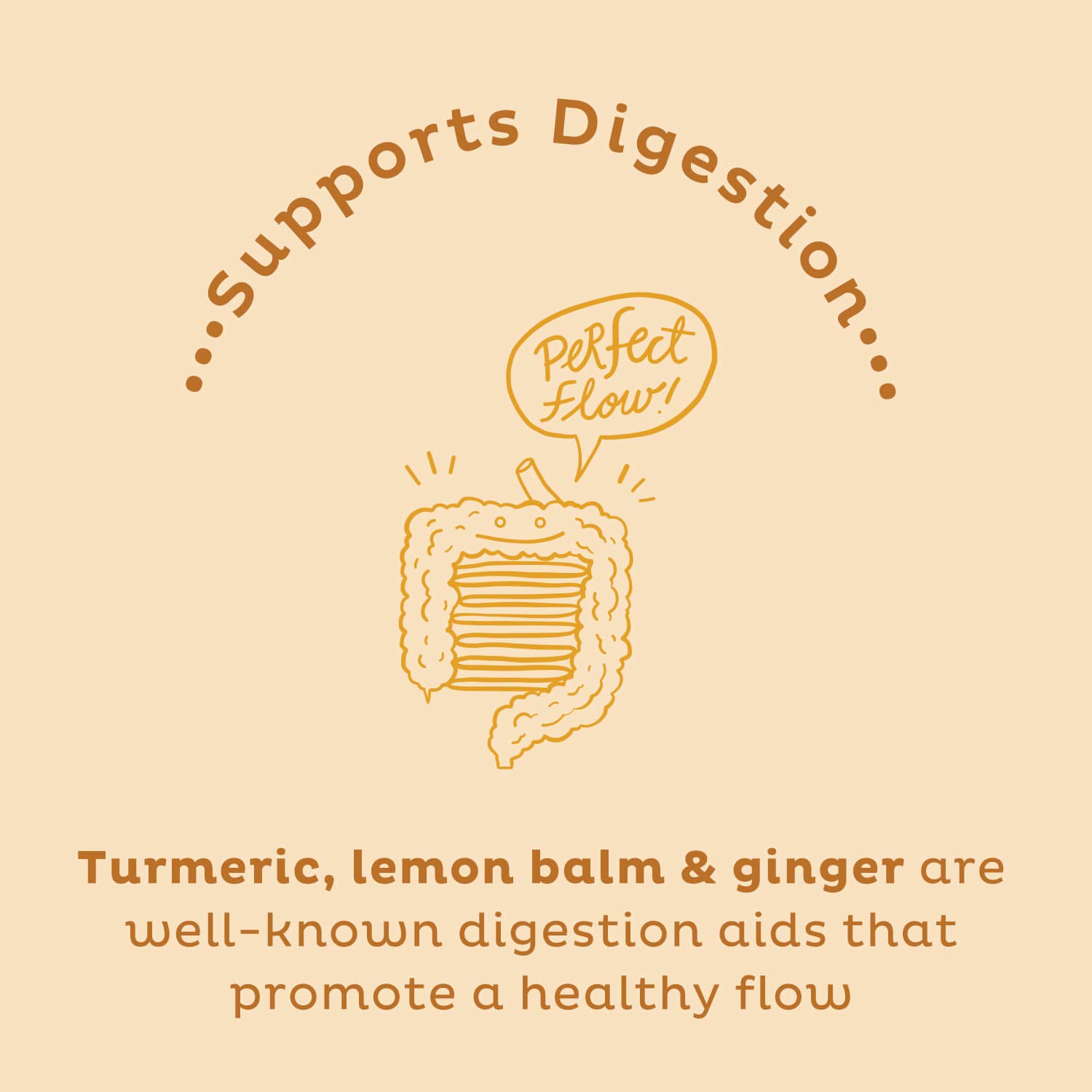 KOS Golden Mylk with Tumeric and Ginger, Organic Superfood Latte Powder, Adaptogen Mushroom Blend - Coffee Creamer, Dessert & Smoothie - Caffeine Free, Vegan, Dairy-Free, Gingerbread Chai, 28 Servings - Image 7