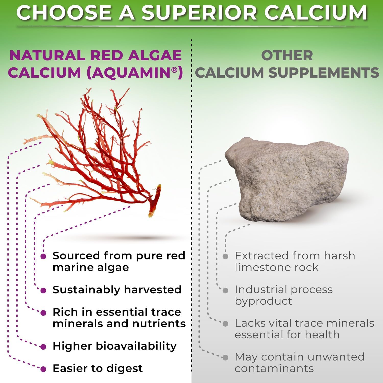 Plant-Based Calcium 500mg (Aquamin) – Vegan Calcium Magnesium Zinc D3 with Vitamin K2 & Organic Turmeric – Enhanced Bone and Muscle Health & Strength, Immune Support for Women & Men - 90 Count - Image 2