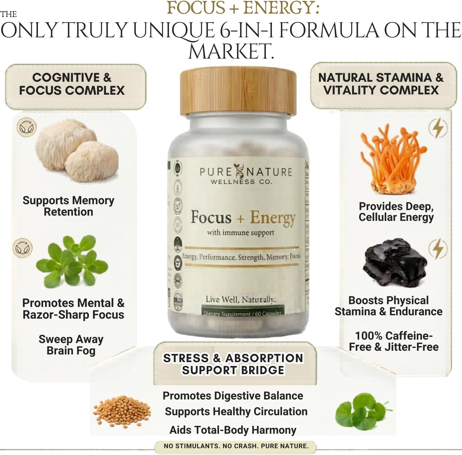 Focus + Energy + Performance Support-6-in-1 Mushroom Nootropic & Mitochondrial Complex-Advanced Brain Supplement-Natural Energy-Caffeine Free Biohack with Lion’s Mane,Cordyceps,Mumijo,Fenugreek - Image 7
