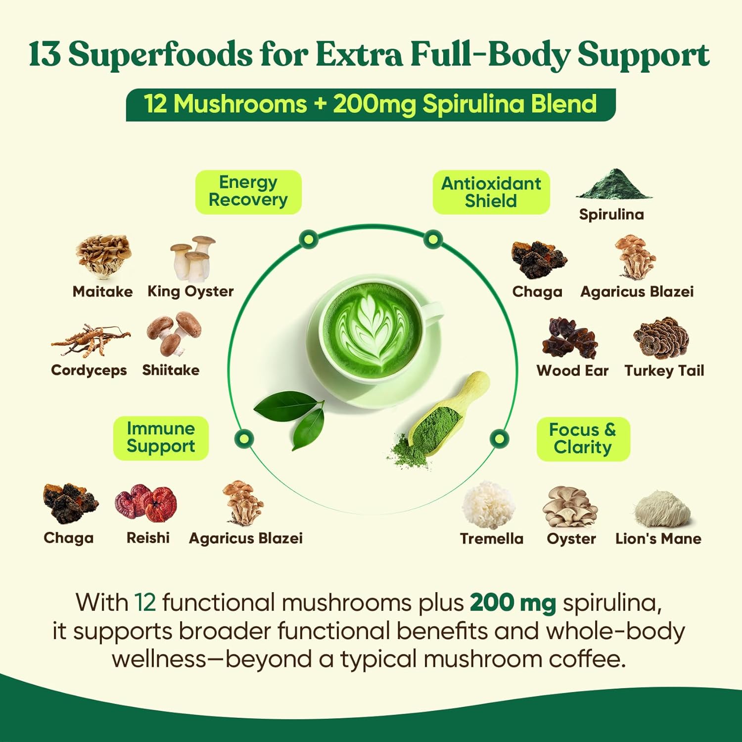 Venture Pal SUPERFOODS Mushroom Matcha Powder – 12 Adaptogenic Mushroom Coffee Alternative L-Theanine, First Harvest Ceremonial Matcha for Focus, Energy,Digestion & Immunity, 30 Servings - Image 3