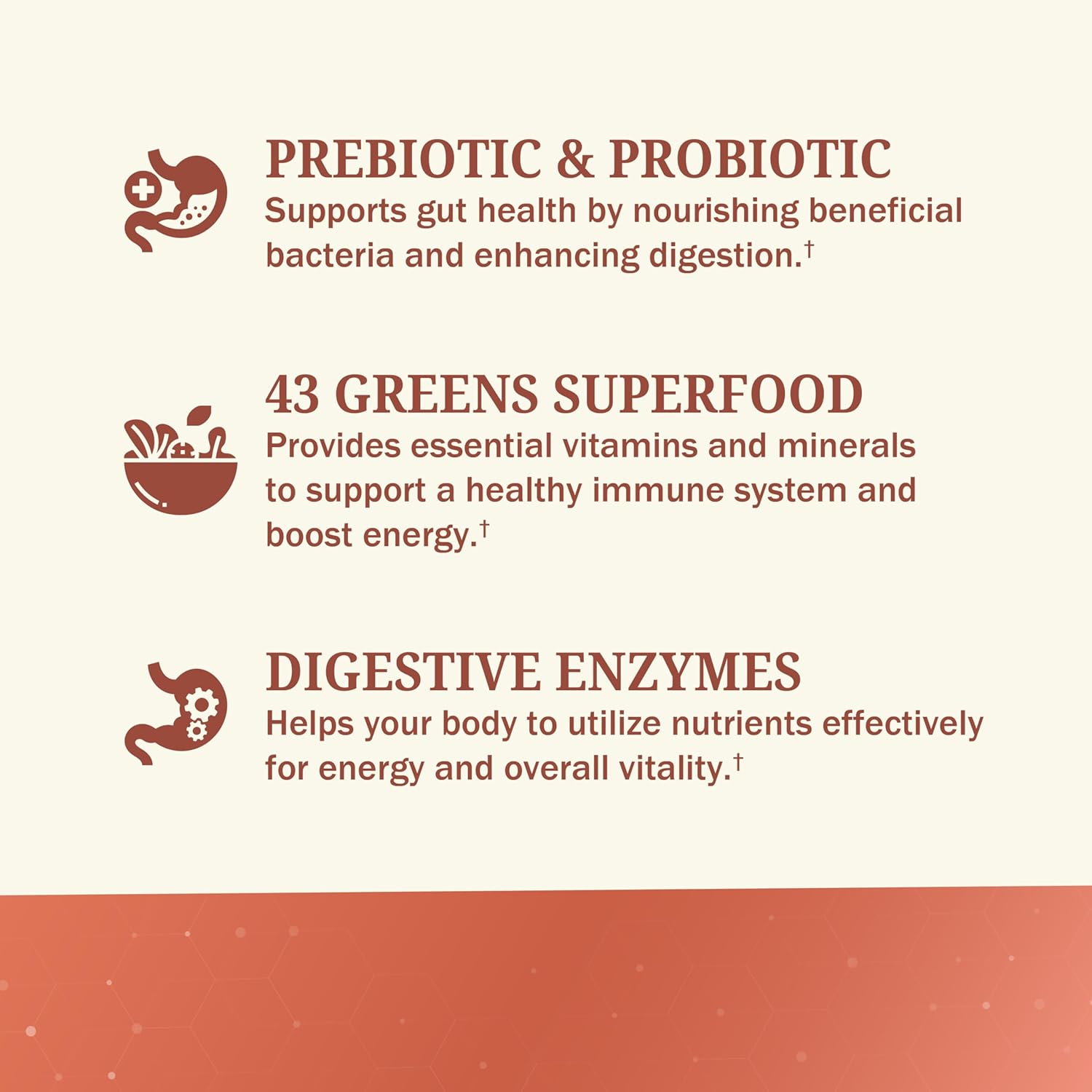 Super Greens Powder Superfood - Greens Powder with Probiotics Prebiotics Digestive Enzymes and 43 Green Superfoods - Chlorophyll Bilberry Chlorella Spirulina Grass - Tastes Amazing - 30 Servings - Image 6