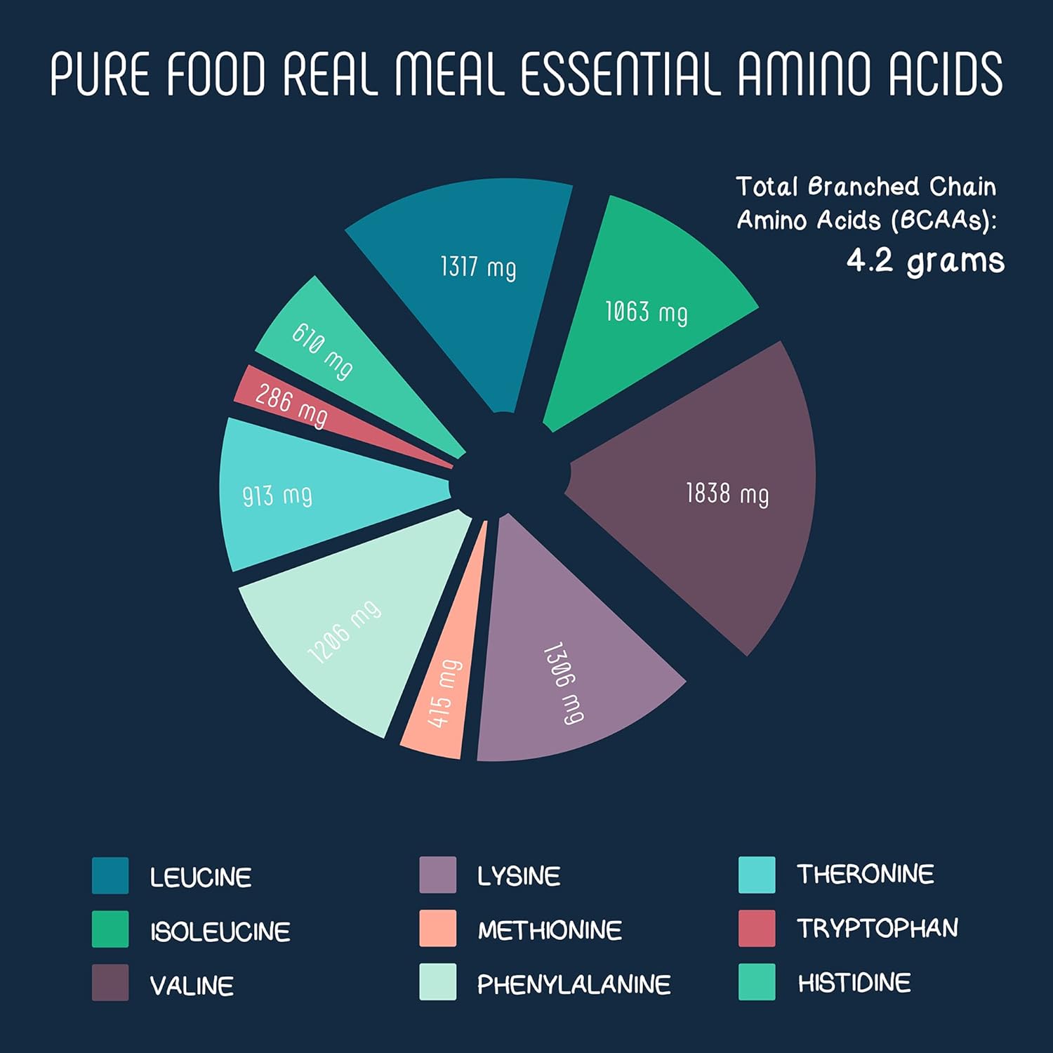 Pure Food Real Meal Vegan Protein Replacement Powder - Organic Plant-Based Gluten-Free Low-Carb High-Fiber No-Sugar Formula - 530 Gram Raw Cacao (Chocolate) Flavor - Image 13