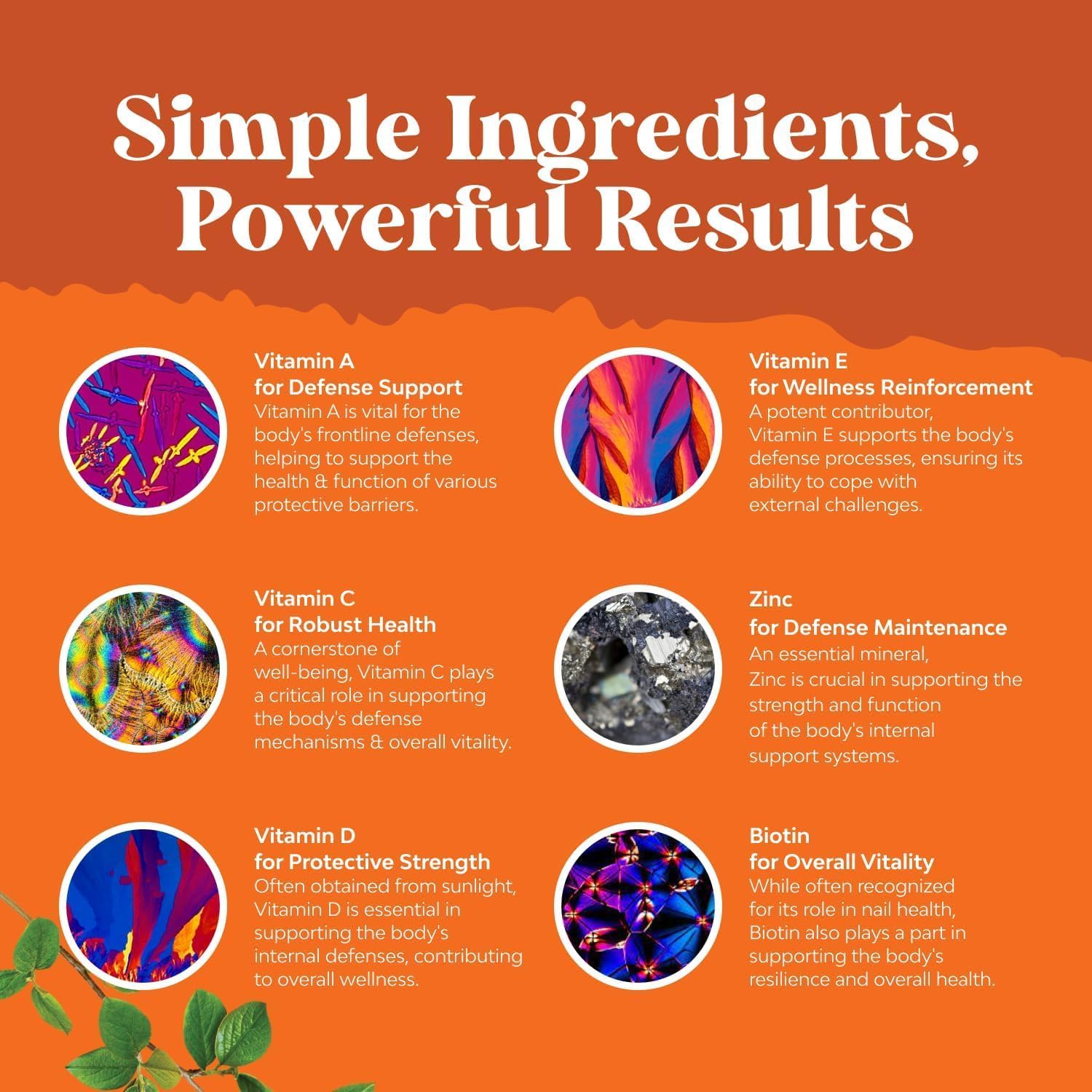 Multivitamin Gummies for Adults - Halal Multivitamin Gummy with B12 Biotin - Gelatin-Free Gummy Multivitamins for Men & Women - Vitamin Gummies with Zinc & Vitamin D - Non-GMO Gluten-Free - 90 Count - Image 5