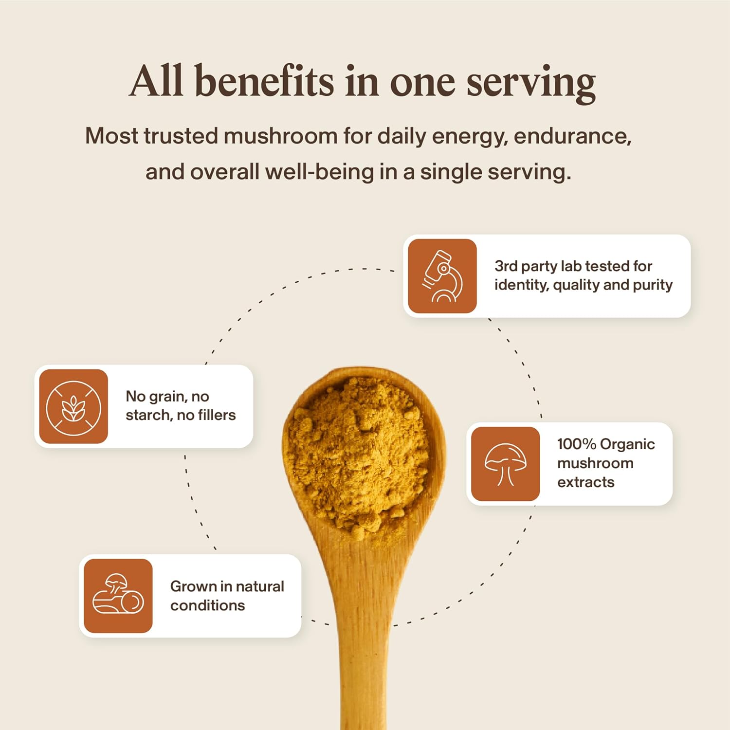 Real Mushrooms Capsules Supplements - Organic Cordyceps Mushroom Powder in Capsules - Energy and Performance Mushrooms with Verified Beta Glucans - Vegan, Non-GMO, 300 Capsules - Image 7