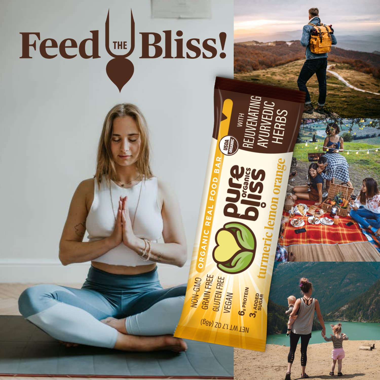 Organic Real Food Bars (Turmeric Lemon Orange) Grain Free - Paleo Friendly - Non-GMO, Gluten Free, Vegan, Nutrition Bars, Super Food Energy Bars, Ayurvedic & Adaptogen Herb Blend, Healthy Snack, Breakfast Bars, Dairy Free, Soy Free, Pure Bliss Organics (1.7 oz, 12-Pack Case) - Image 6