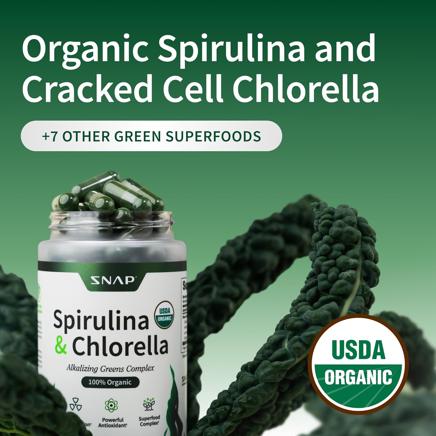 Snap Supplements Organic Spirulina and Chlorella - Protein Rich Blue Green Algae Superfood Supplement for Energy and Immune Support, 120 Vegetarian Capsules (30 Servings, 1 Month Supply) - Image 3