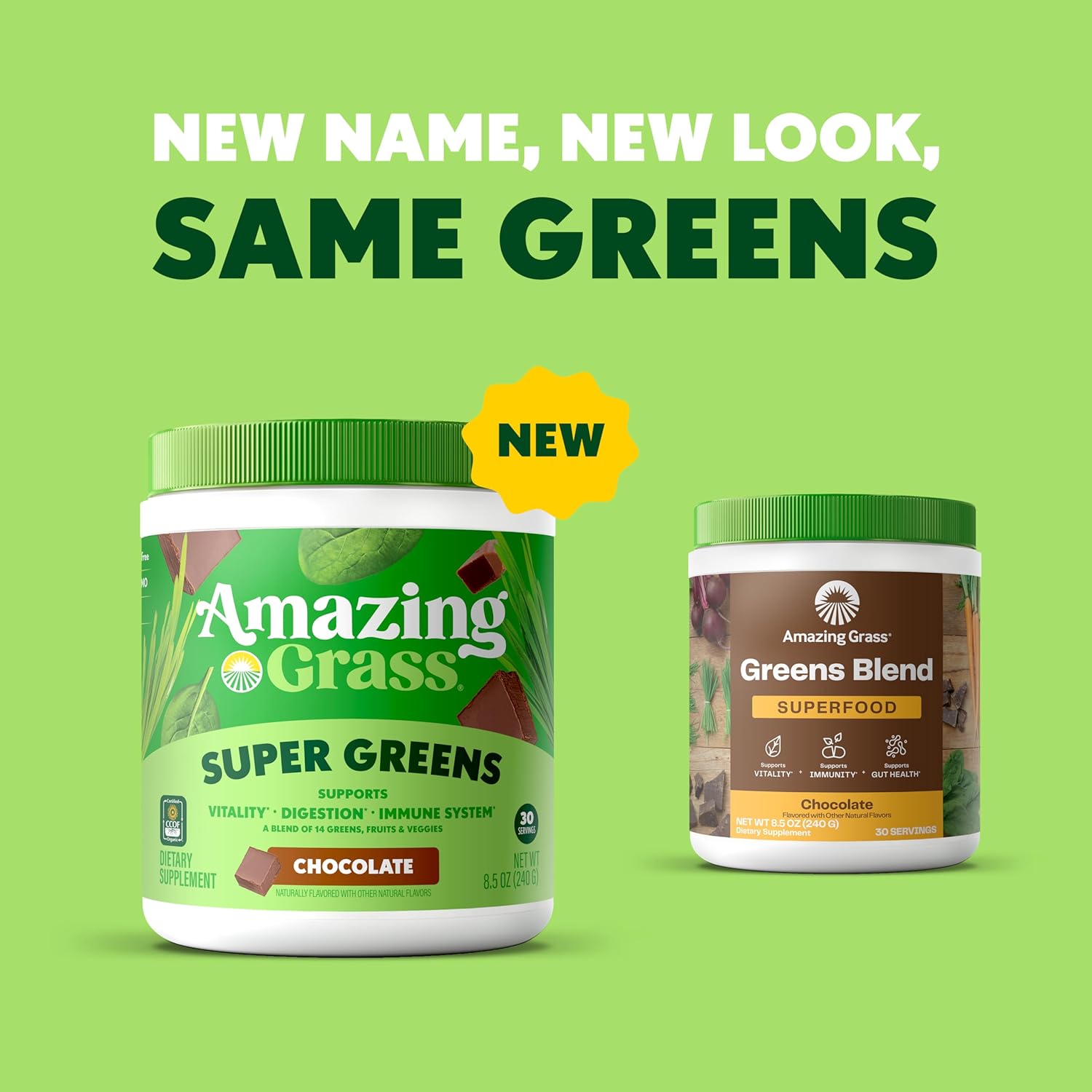 Amazing Grass Greens Superfood Powder: Greens Powder with Digestive Enzymes & Probiotics, Organic Spirulina, Chlorella, and Beet Root Powder, Chocolate, 30 Servings - Image 3