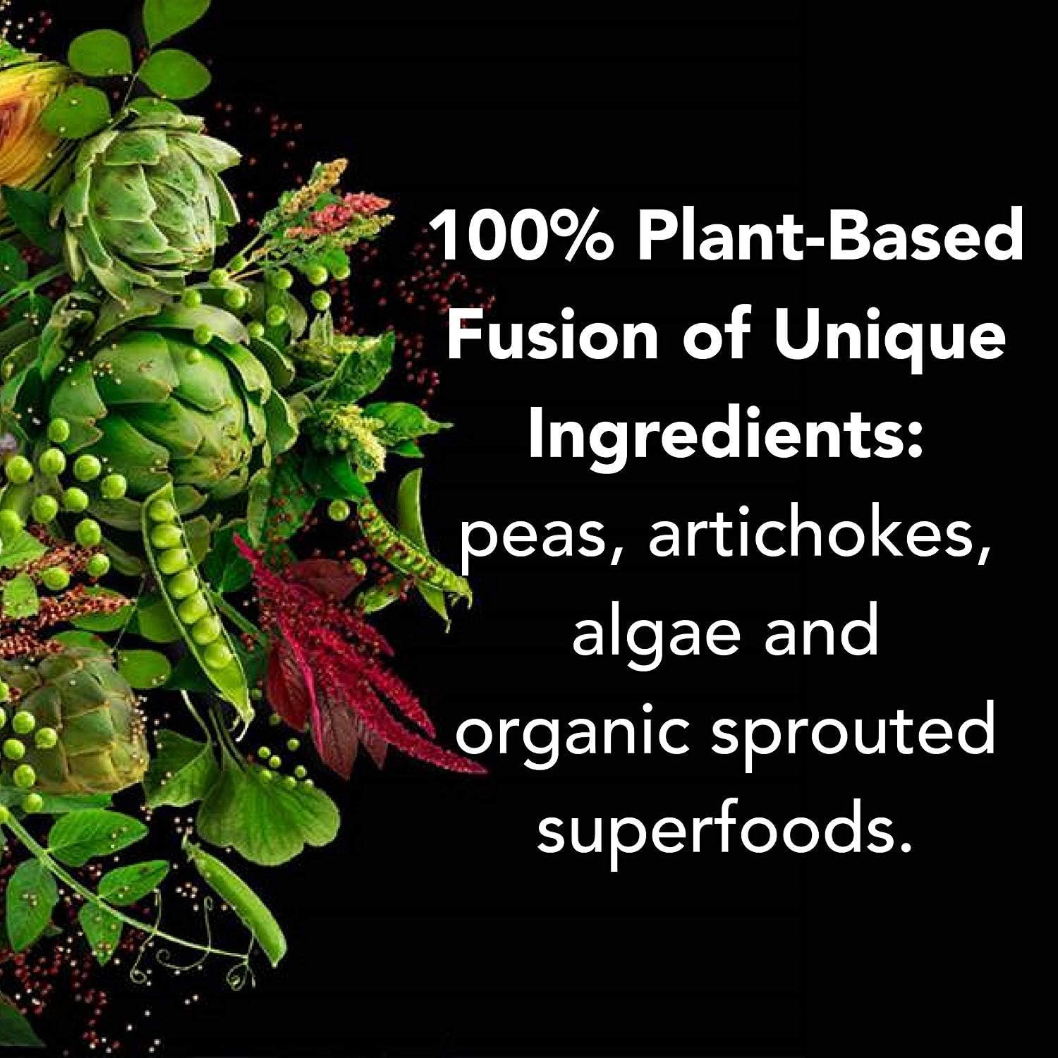 PlantFusion Complete Vegan Protein Powder Sample Packets - Plant Based Protein Powder Packets to-Go with BCAAs and Pea Protein - Keto, Gluten Free, Non-Dairy, No Sugar (Vanilla Pack of 4) - Image 7