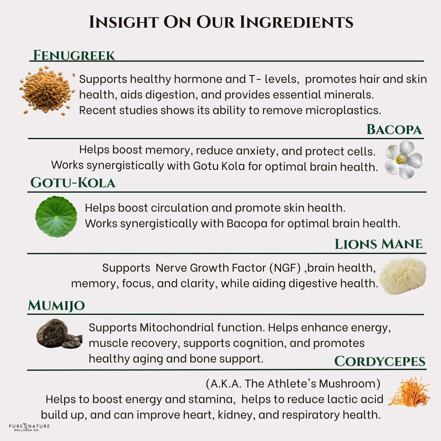 Focus + Energy + Performance Support-6-in-1 Mushroom Nootropic & Mitochondrial Complex-Advanced Brain Supplement-Natural Energy-Caffeine Free Biohack with Lion’s Mane,Cordyceps,Mumijo,Fenugreek - Image 6