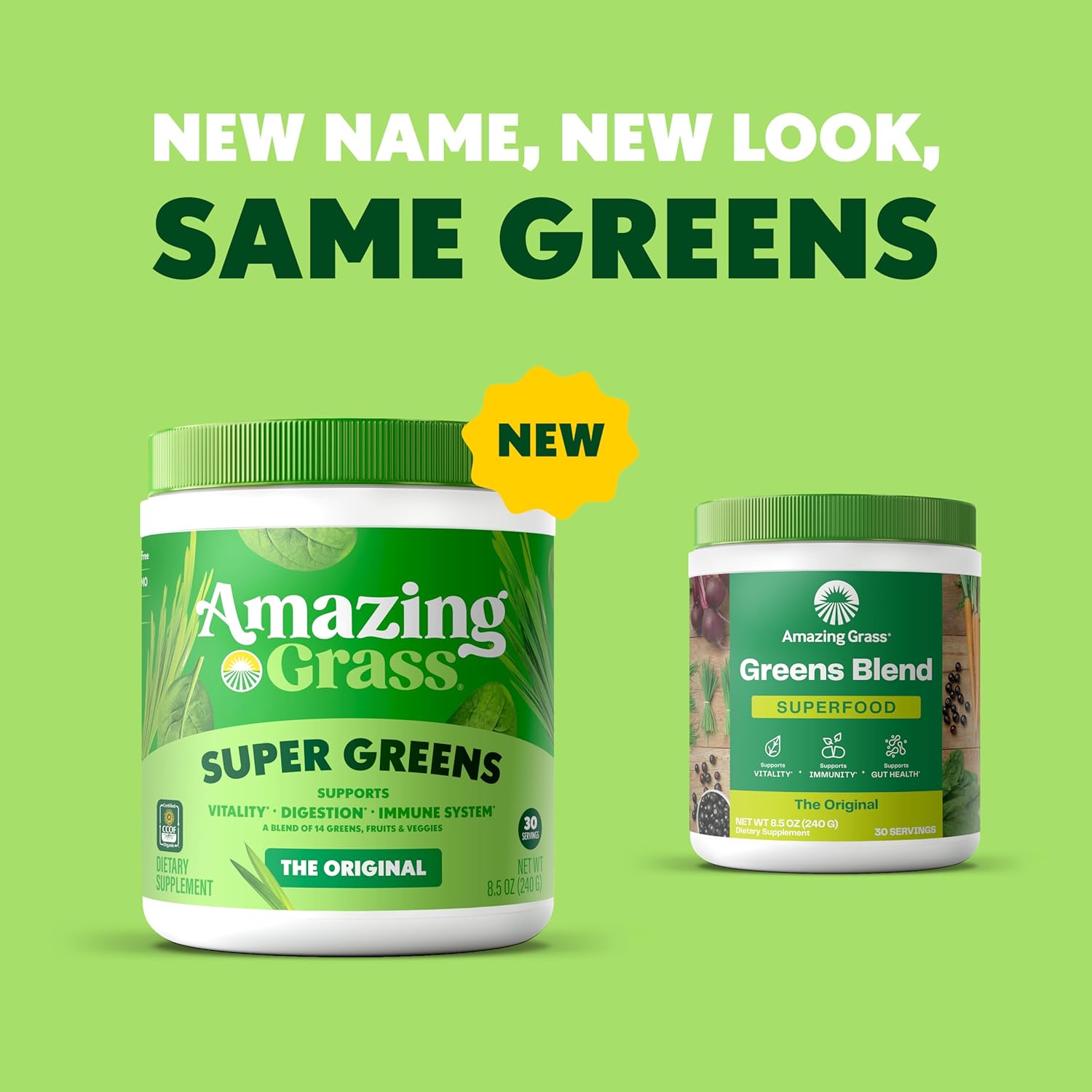 Amazing Grass Greens Blend Superfood: Greens Powder Mix for Energy, with Organic Spirulina, Chlorella, Beet Root Powder, Digestive Enzymes & Probiotics, Original, 30 Servings (Packaging May Vary) - Image 3