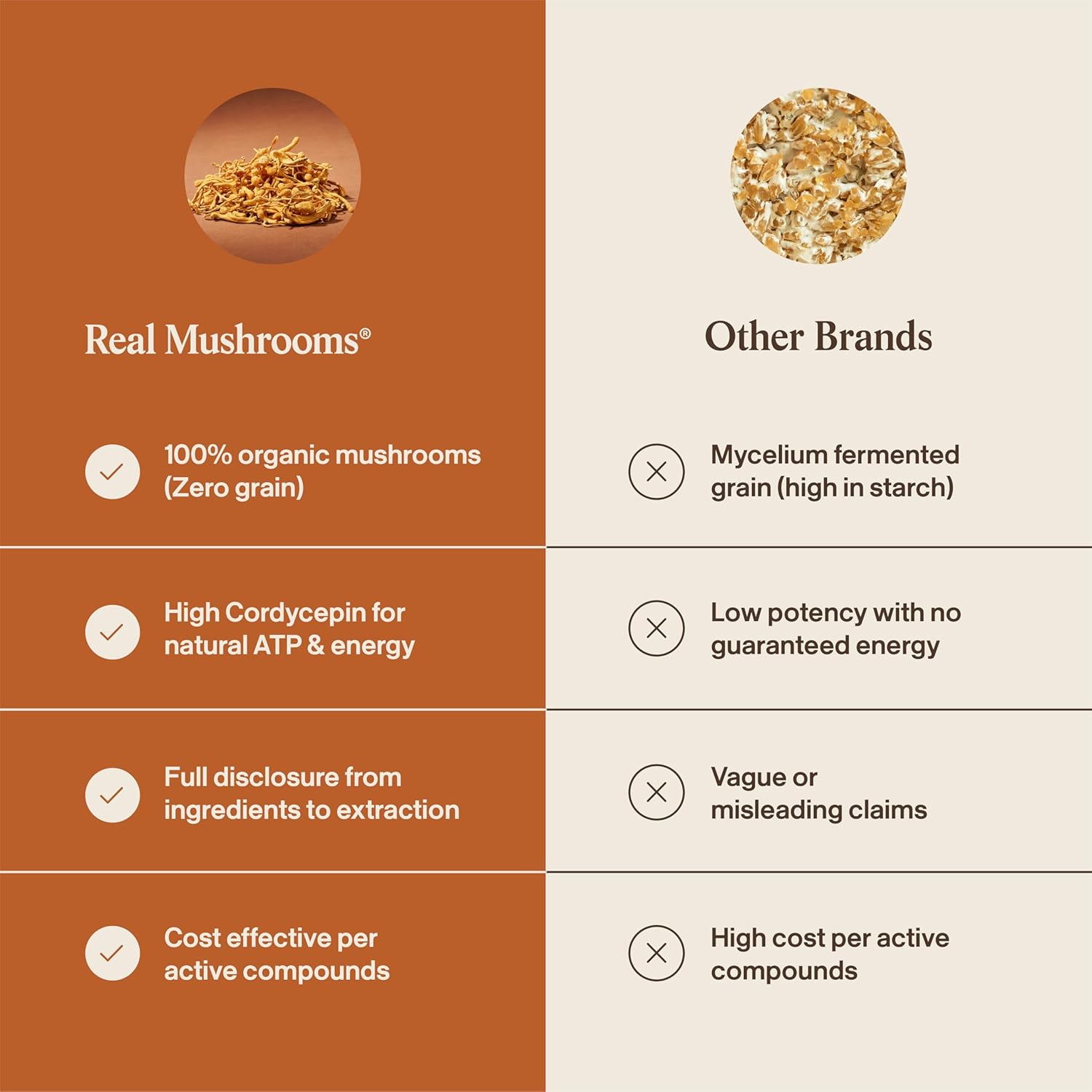 Real Mushrooms Capsules Supplements - Organic Cordyceps Mushroom Powder in Capsules - Energy and Performance Mushrooms with Verified Beta Glucans - Vegan, Non-GMO, 300 Capsules - Image 6