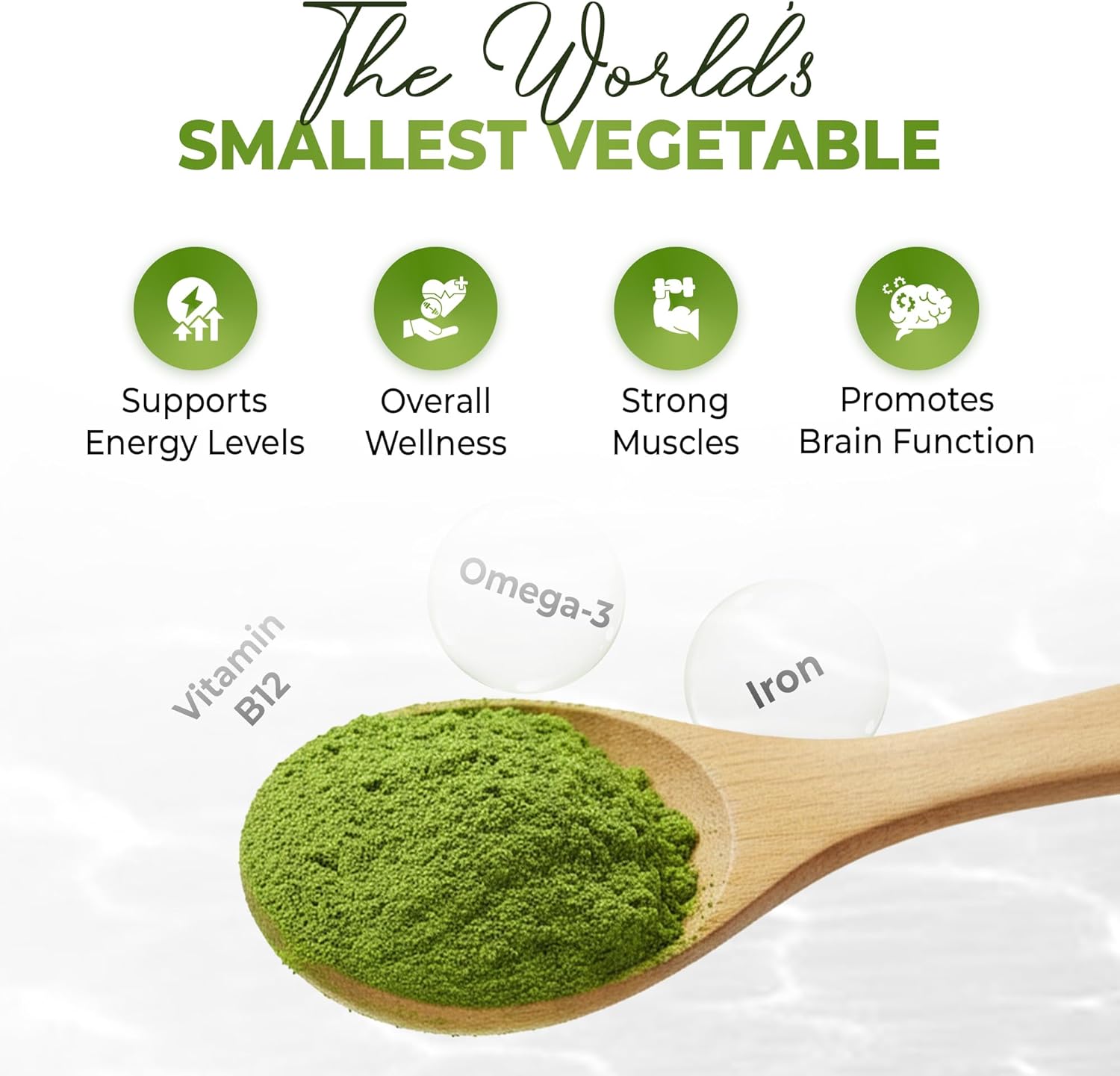 Wolffia Globosa Organic Protein Powder - Pure Plant Based Protein Organic Superfood with B12, Iron & Omega-3 - Non-GMO, Gluten Free Greens Powder for Daily Nutrition, Energy, Wellness - 50g - Image 3