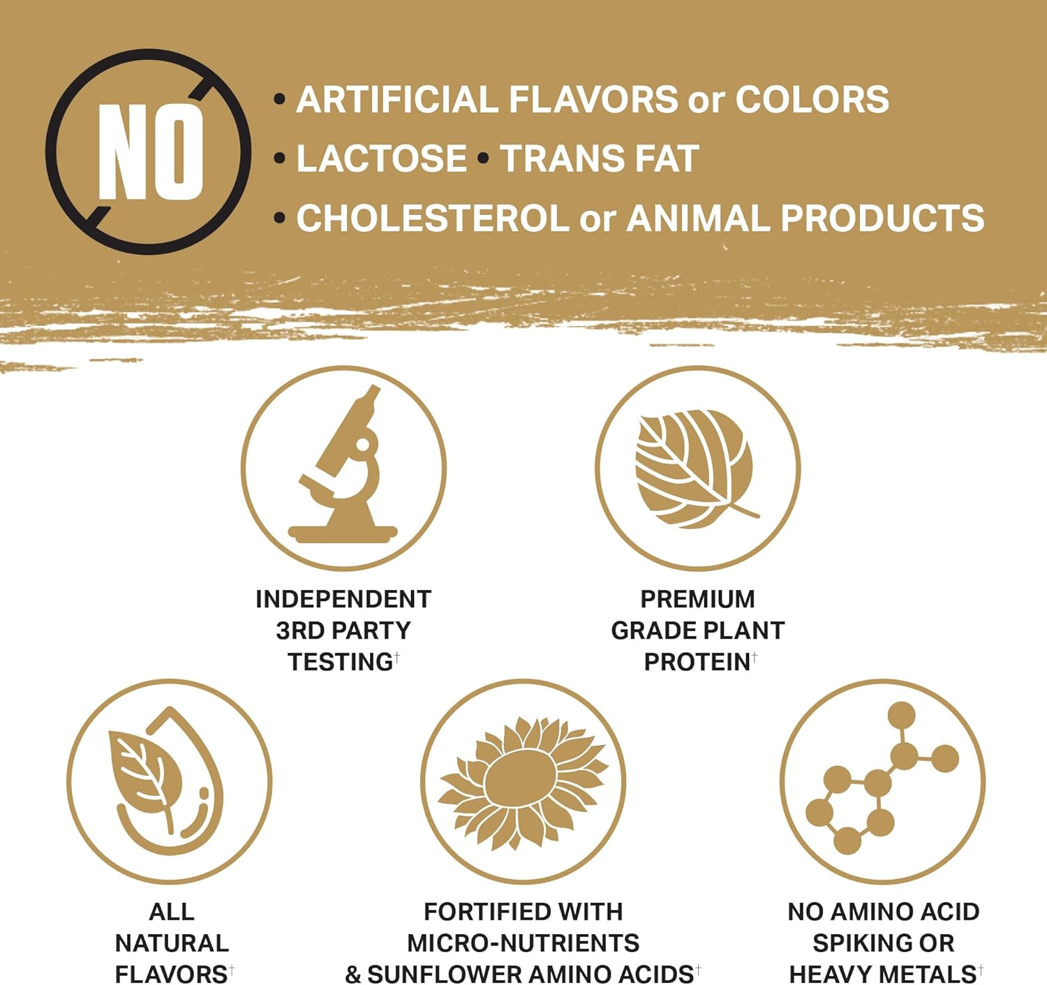 Ambrosia Planta - Plant-Based Protein Powder 20g | Dairy Free Vegan Protein Powder with BCAA Amino Acids | Keto-Friendly, No Added Sugar | 25 Servings | Cookies Cream - Image 4