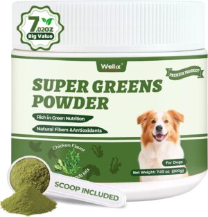 Wellix 7.02oz Super Greens Powder w...