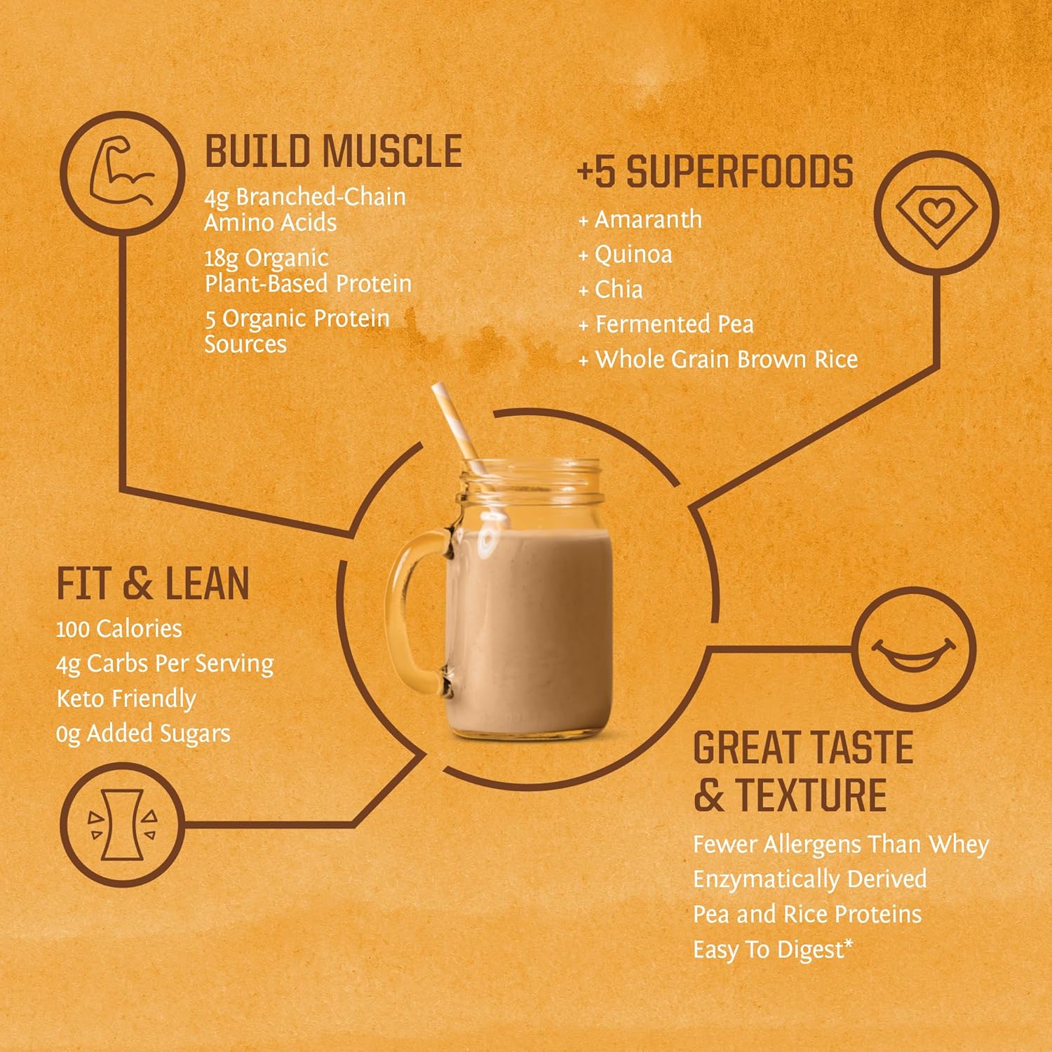 Clean Vegan Protein Powder Vanilla | Organic Protein Powder Plant Based Formula with 5 Superfood Blend Sprouted & Fermented | Non-GMO Low Carb Soy Dairy & Gluten Free (Vanilla, 30 Servings) - Image 3