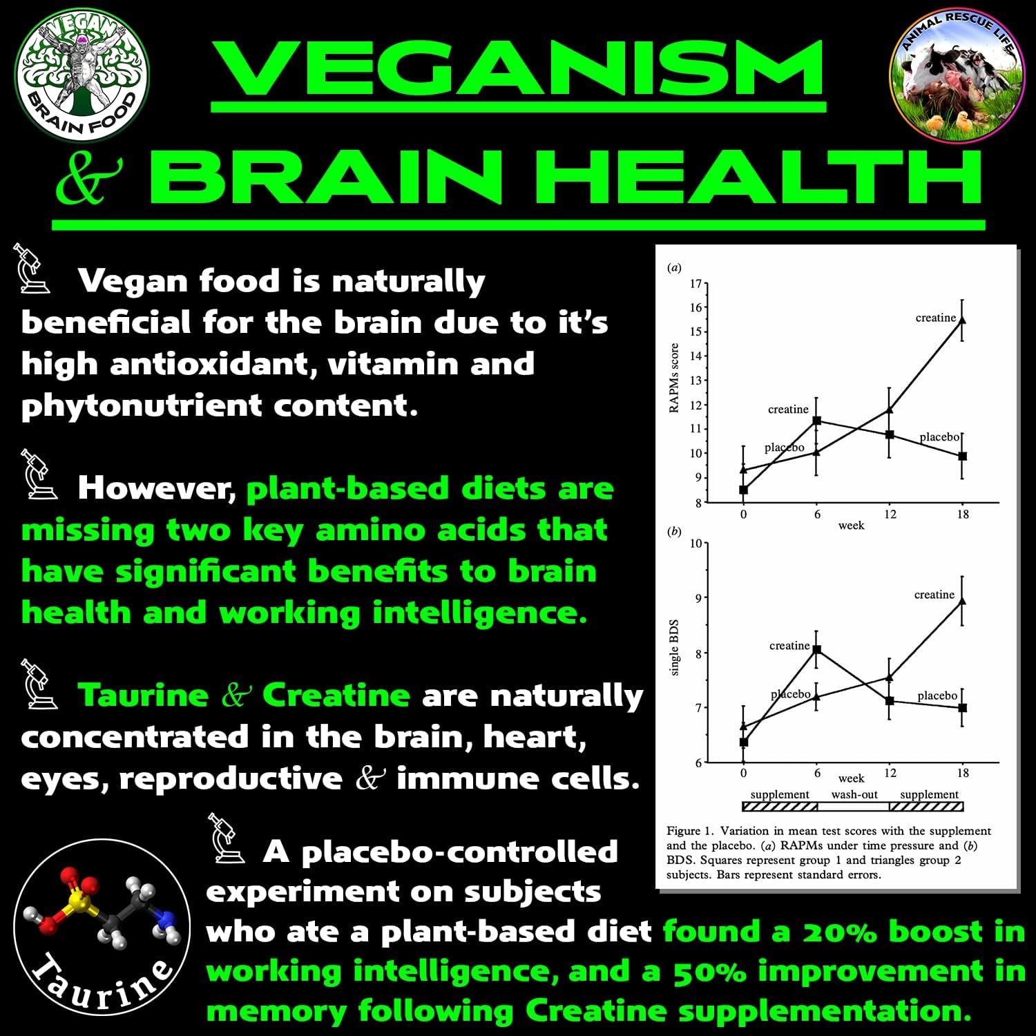 Vegan Brain & Body Boost: The Cherry On Top of A Plant-Based Lifestyle | Working Intelligence | Anti-Aging | Physical Fitness | Vegan Amino Acids - Creatine, Taurine & Beta Alanine | 40 Servings/300g - Image 4