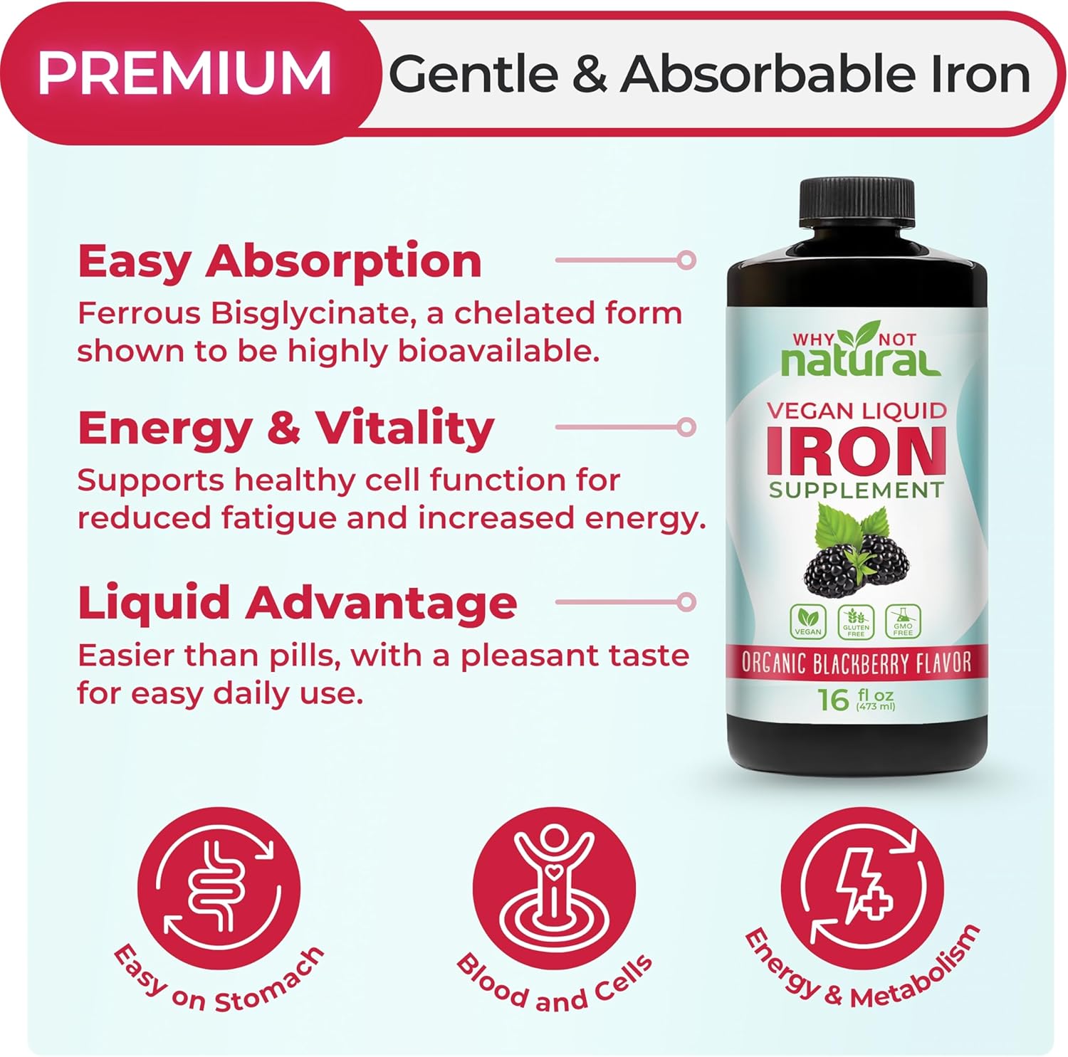 Why Not Natural Liquid Iron Supplement for Women, Men and Kids, Vegan Formulation for Anemia, Sugar Free, Vegan, Non-GMO, Organic BlackBerry Flavor 16 Fl Oz - Image 2