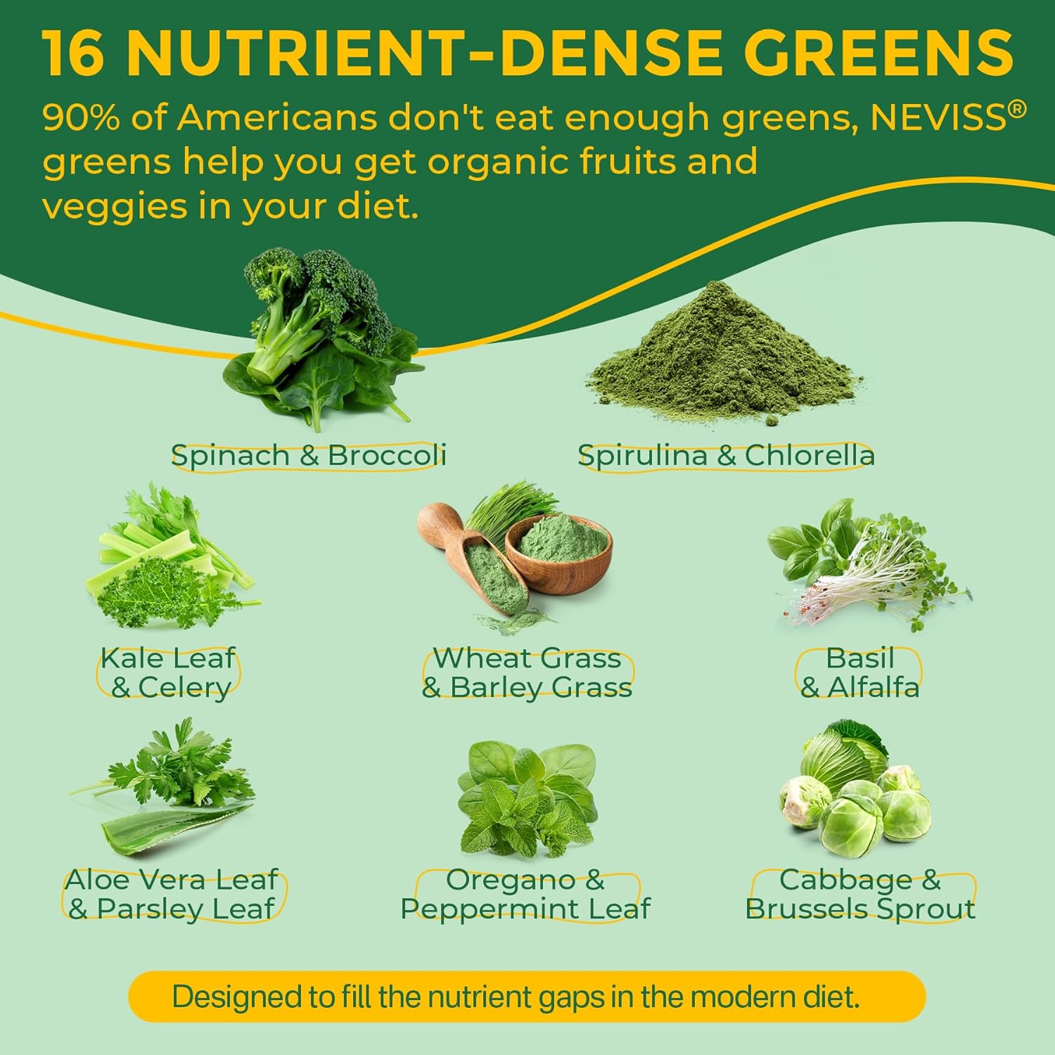 Organic Super Greens Daily Gummies + Probiotics, Spirulina, Chlorella, Spinach, Broccoli, Fiber, Fruits Veggies, Mushroom - Greens Powder Superfood Alternative, Natural Energy, Sugar Free Vegan, 60Cts - Image 3