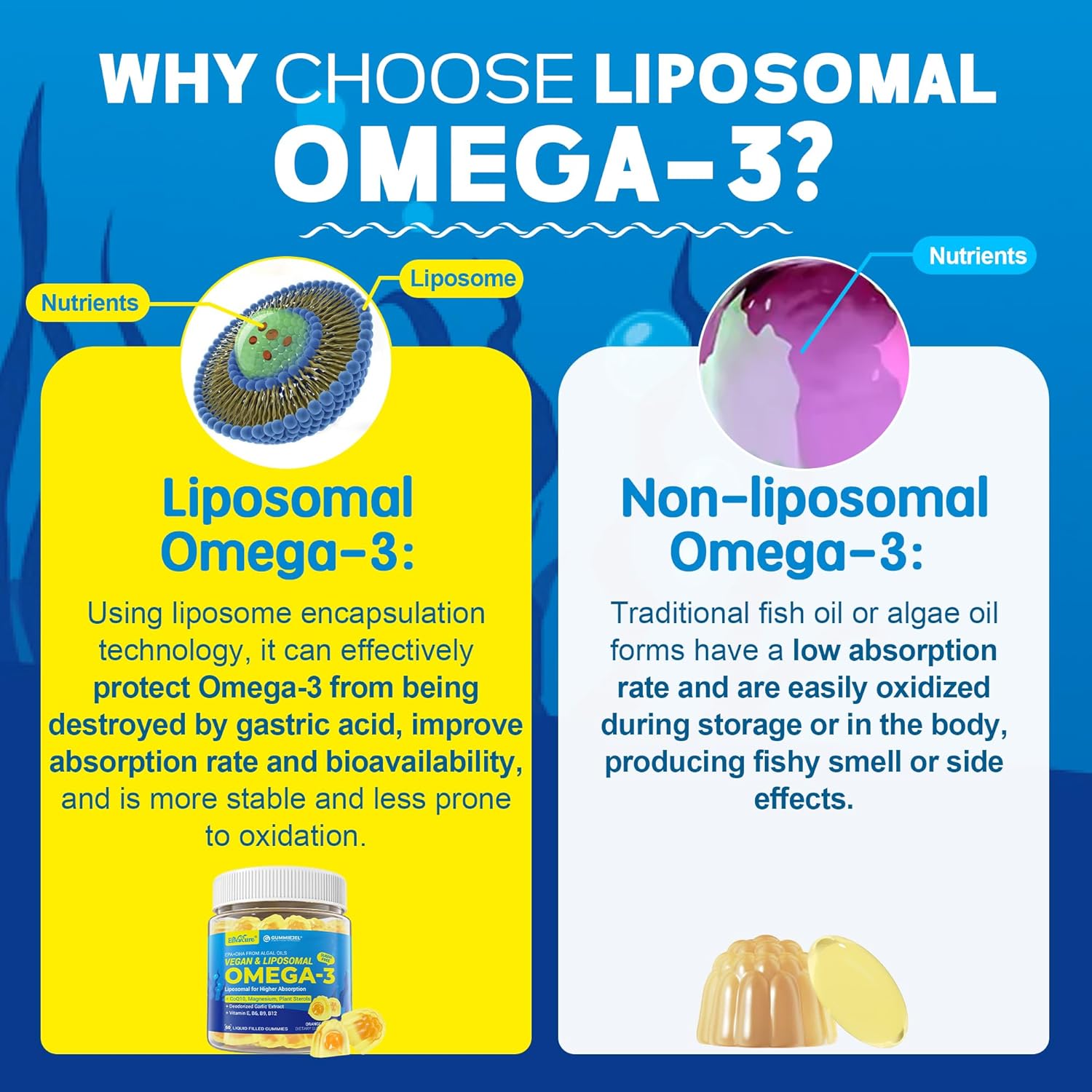 Vegan Omega-3 Gummies 1000mg +CoQ10+Magnesium- EPA 600mg & DHA 400mg, Fish Oil Omega 3 Supplements Alternative for Women Men Adults- Liposomal Form -Algae- Plant Sterols, Garlic,B6,B9, B12, Sugar Free - Image 3