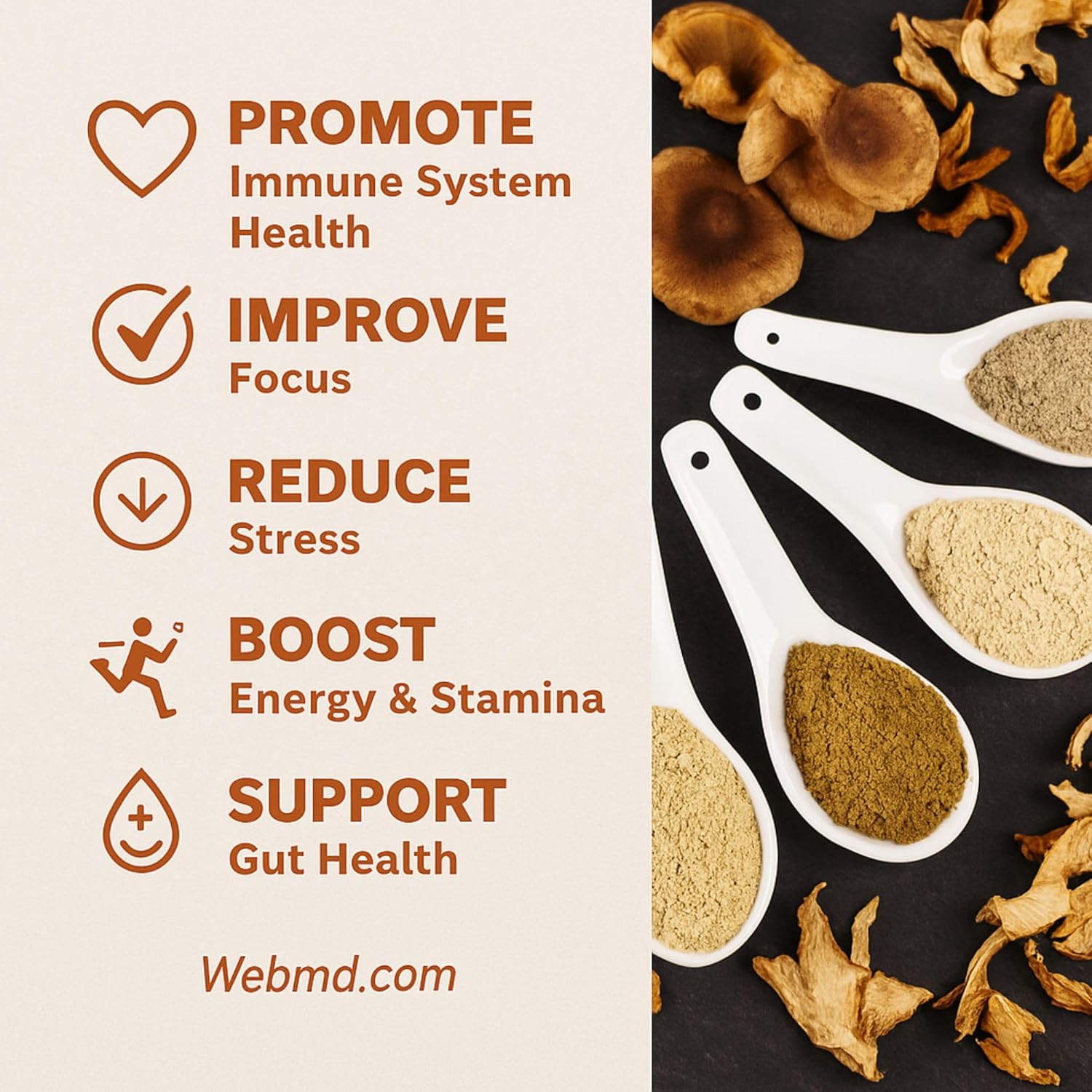 Cherie Sweet Heart 7 Mushroom Extract Powder – USDA Organic Superfood Blend with Lion's Mane, Reishi, Cordyceps, Maitake, Shiitake, Turkey Tail & Chaga – Vegan, Non-GMO, Gluten-Free – 3.5 oz - Image 6