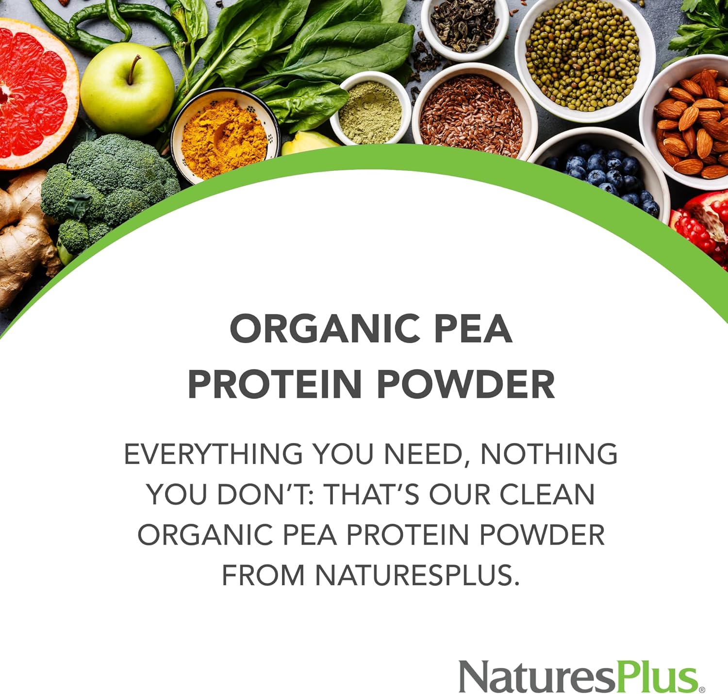 NaturesPlus Organic Pea Protein - 1.1 lb - Plant-Based Drink Powder - Supports Energy, Recovery & Weight Management - Non-GMO, Sugar Free, Allergen Free, Gluten Free, Vegan - 25 Servings - Image 3