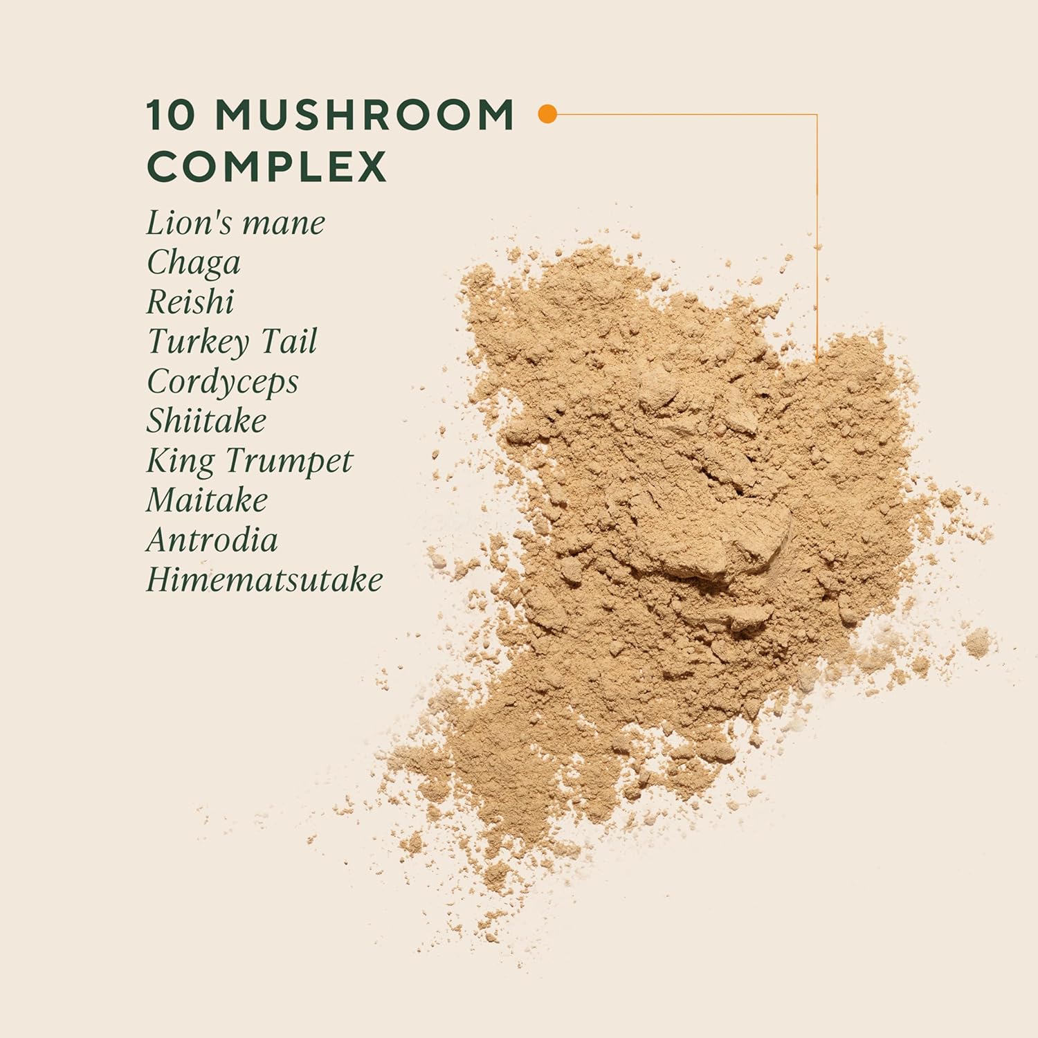 OM Mushrooms Master Blend Mushroom Powder – Organic Mushroom Supplement with 10 Mushrooms and Ashwagandha - Support Immunity, Gut Health & Stress Relief, 6.34 oz (80 Servings) - Image 2