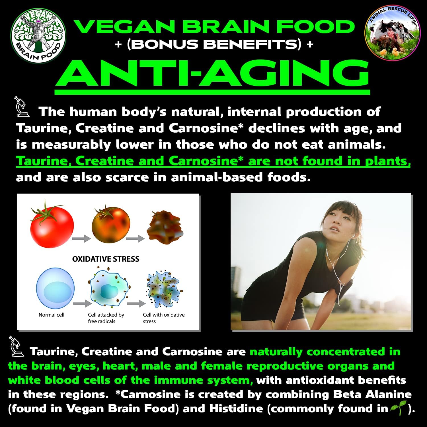 Vegan Brain & Body Boost: The Cherry On Top of A Plant-Based Lifestyle | Working Intelligence | Anti-Aging | Physical Fitness | Vegan Amino Acids - Creatine, Taurine & Beta Alanine | 40 Servings/300g - Image 3
