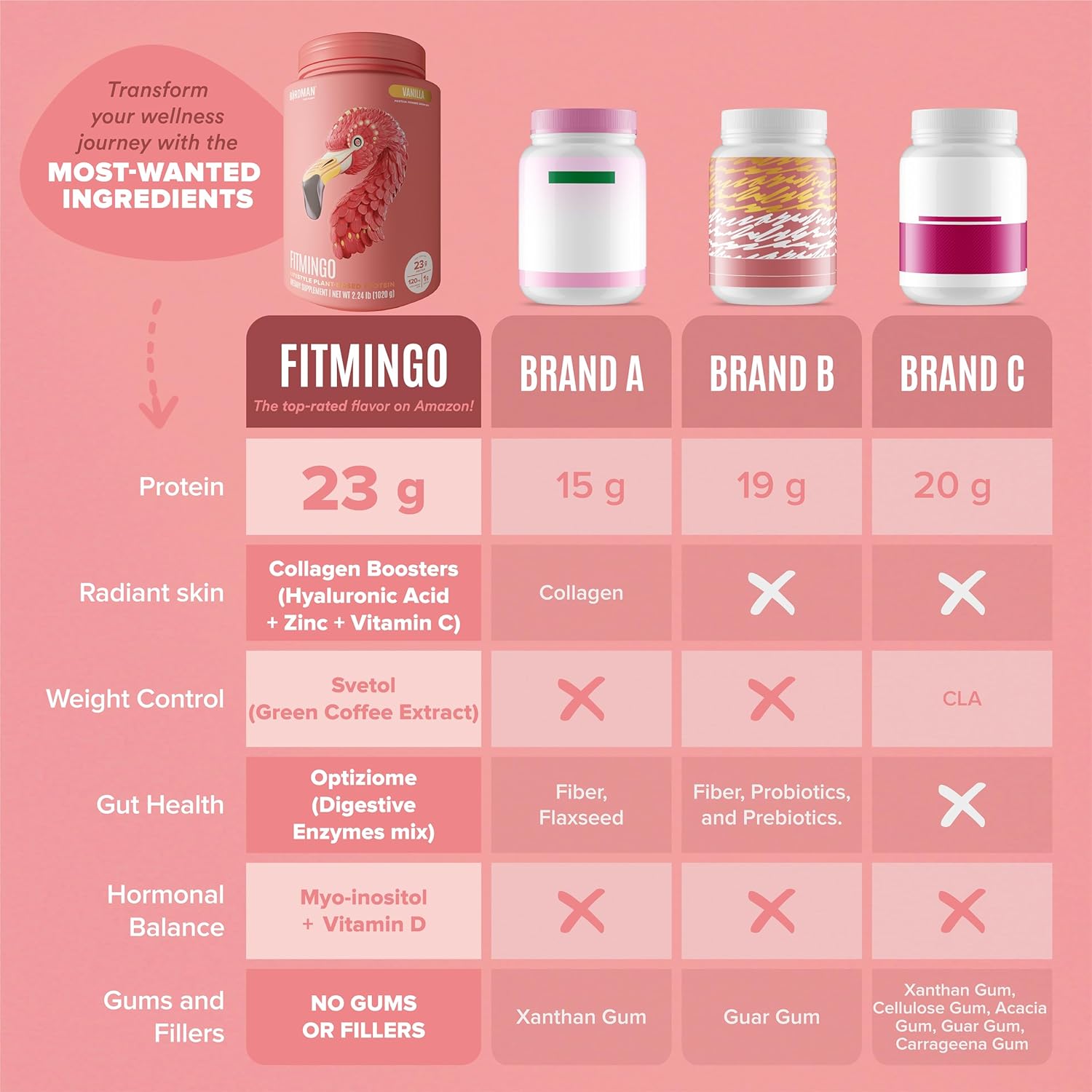 BIRDMAN Fitmingo Vegan Protein Powder with Inositol, Collagen Boosters, Hyaluronic Acid and Vitamins | Low Carb, Dairy Free, Lactose Free, Low Calorie | 23g Plant Based Vanilla Protein Powder - Image 6