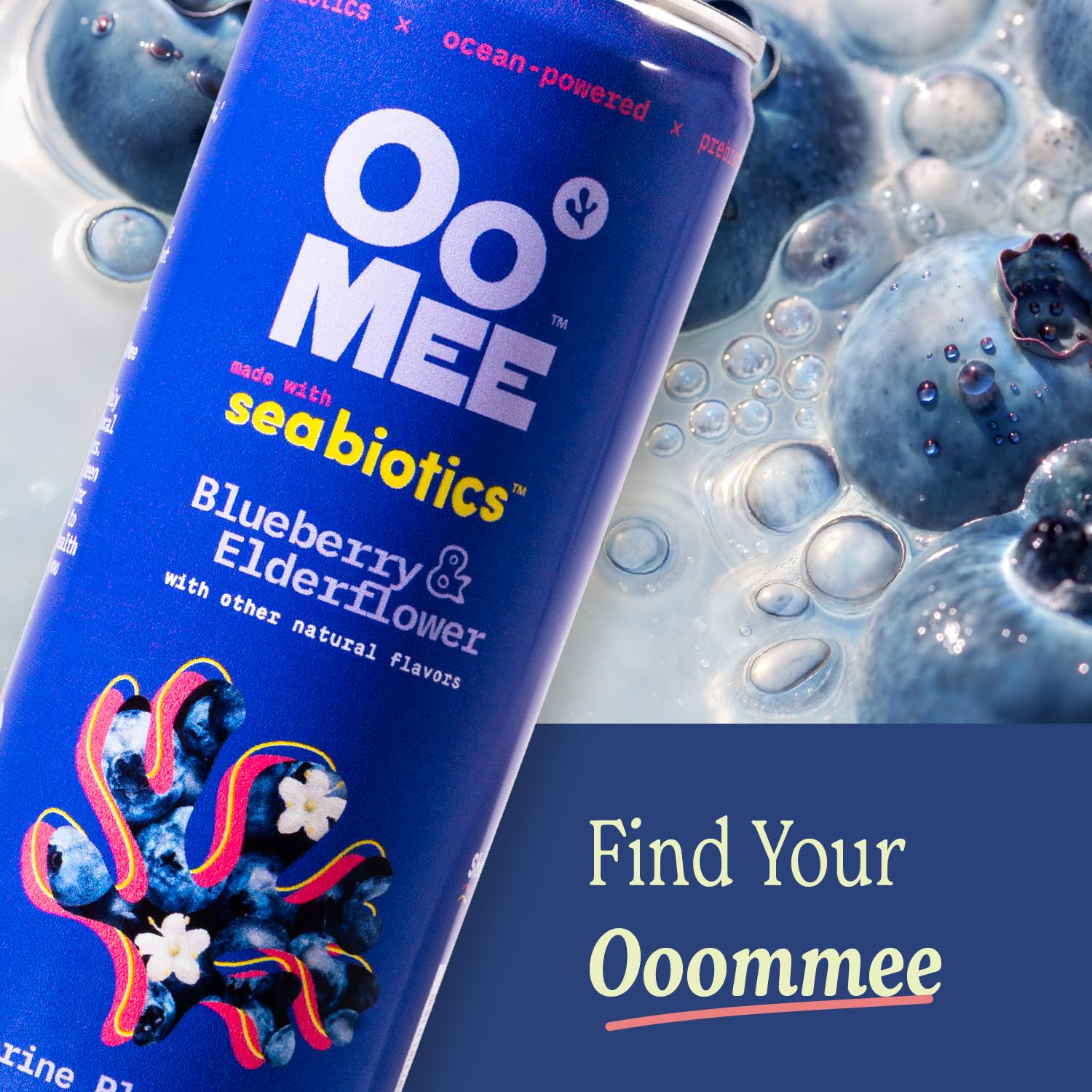 OoMee Prebiotic Drink | Variety Pack| Plant-Based Vegan Beverage with Marine-Sourced Agar Prebiotics (Seabiotics) for Digestive & Gut Health Functional Drink – 12oz Cans, 12-Pack - Image 5