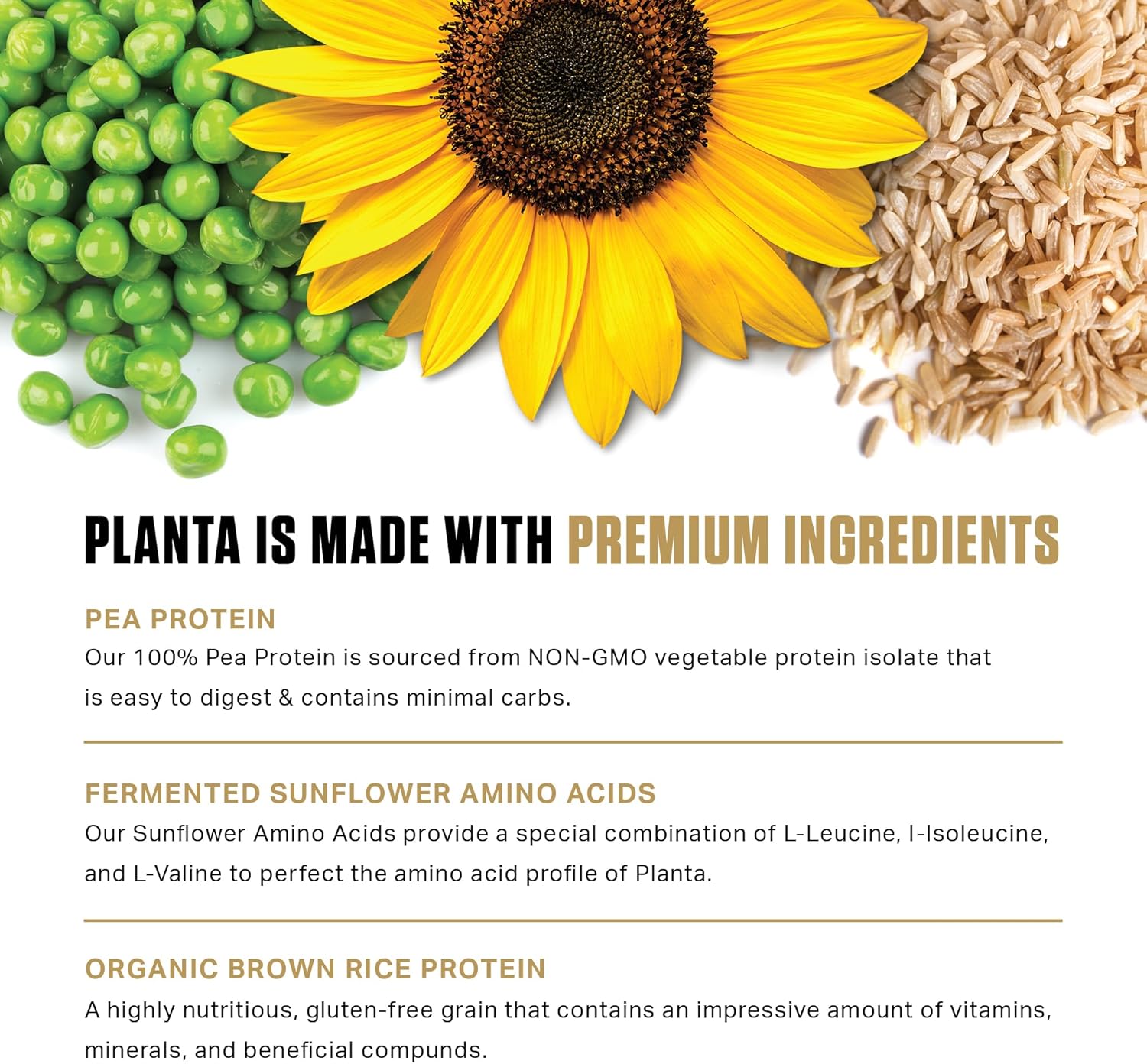 Ambrosia Planta - Plant-Based Protein Powder 20g | Dairy Free Vegan Protein Powder with BCAA Amino Acids | Keto-Friendly, No Added Sugar | 25 Servings | Cookies Cream - Image 5