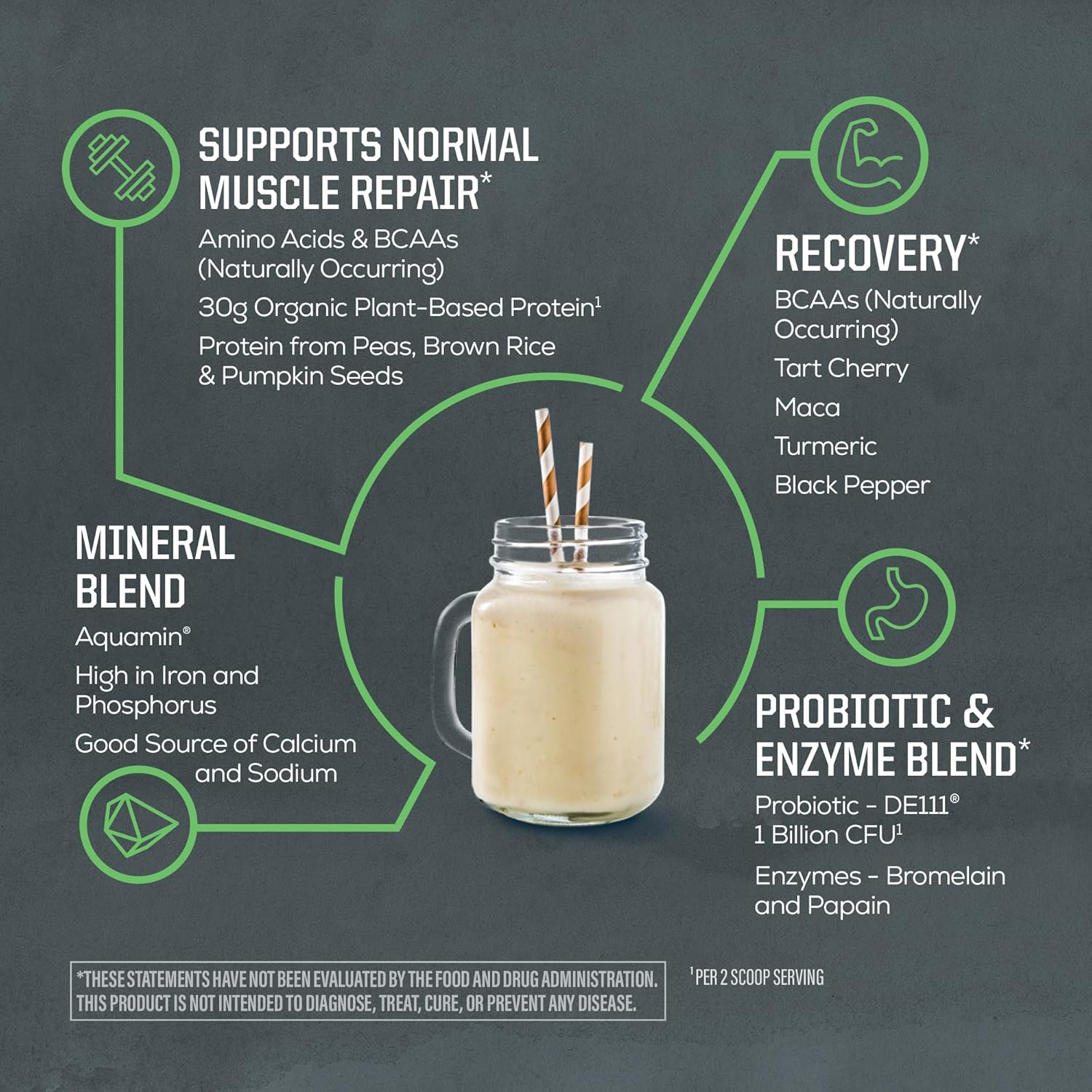 Sunwarrior Organic Plant Based Protein Powder | Vegan Organic Protein Powder with BCAA Amino Acids Plus Recovery Minerals & Botanicals | Non-GMO Soy Dairy & Gluten Free (Unflavored, 20 Servings) - Image 4