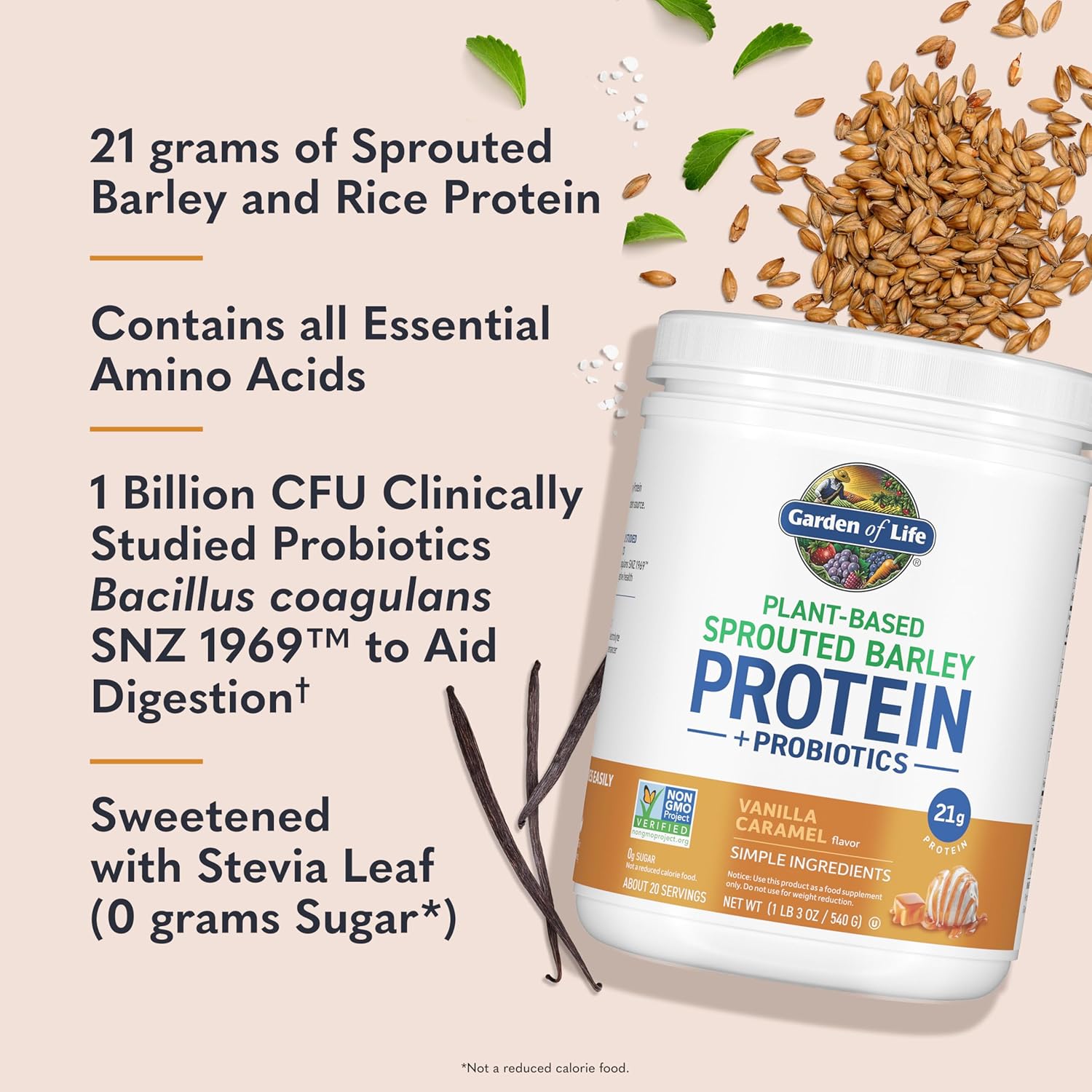 Garden of Life Plant-Based Sprouted Barley Protein, Vanilla Caramel with 21g Protein, 0g Sugar & Clean Ingredients, Upcycled Barley, Probiotics, Non-GMO, use in Shakes, Smoothies & Baking, 20 Servings - Image 2