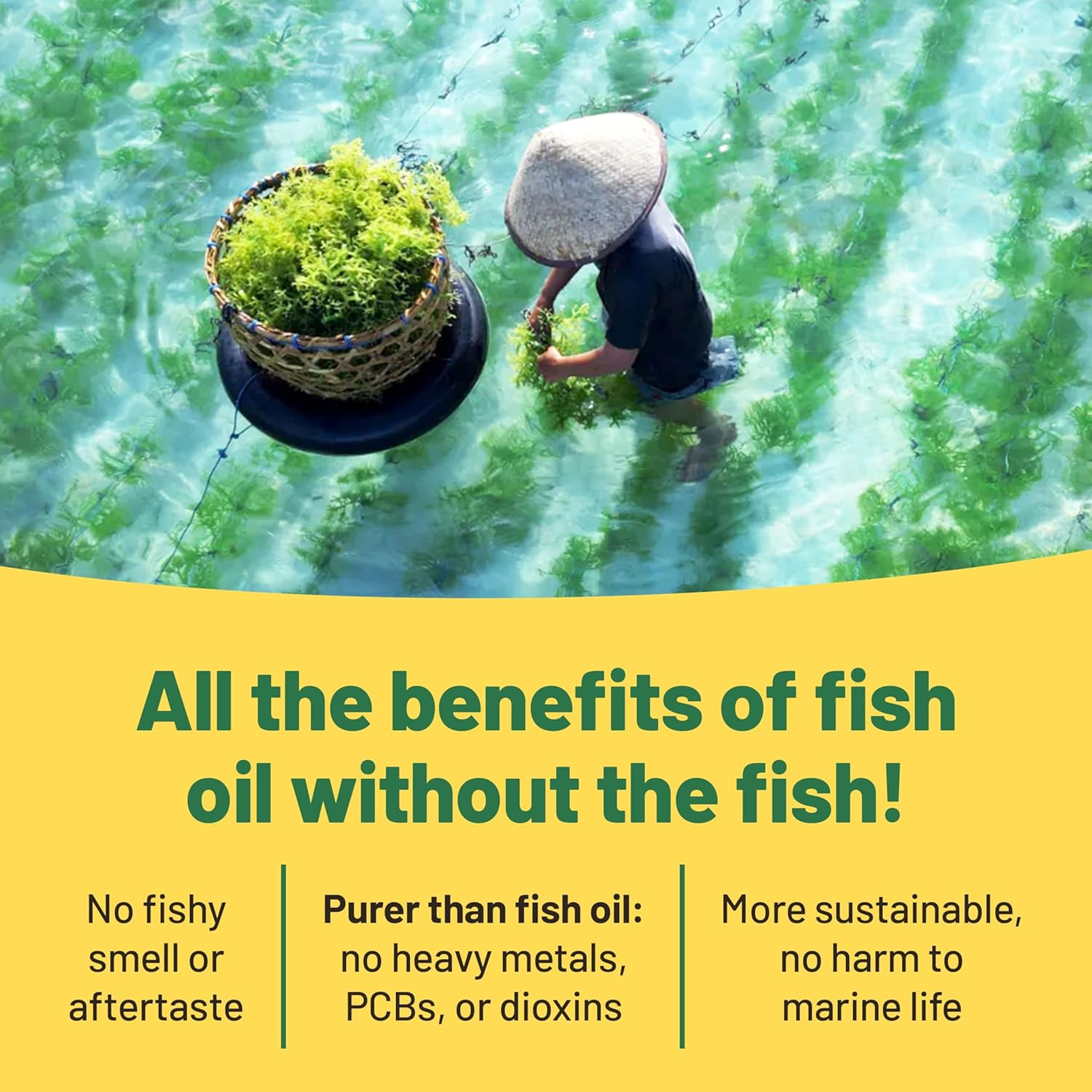 Vegan Vitality Vegan Omega 3 Supplement - 60 Plant Based Algae Oil Soft Gels Essential Fatty Acids with Vegan DHA for Joint, Heart & Immune Support Without EPA - Image 3