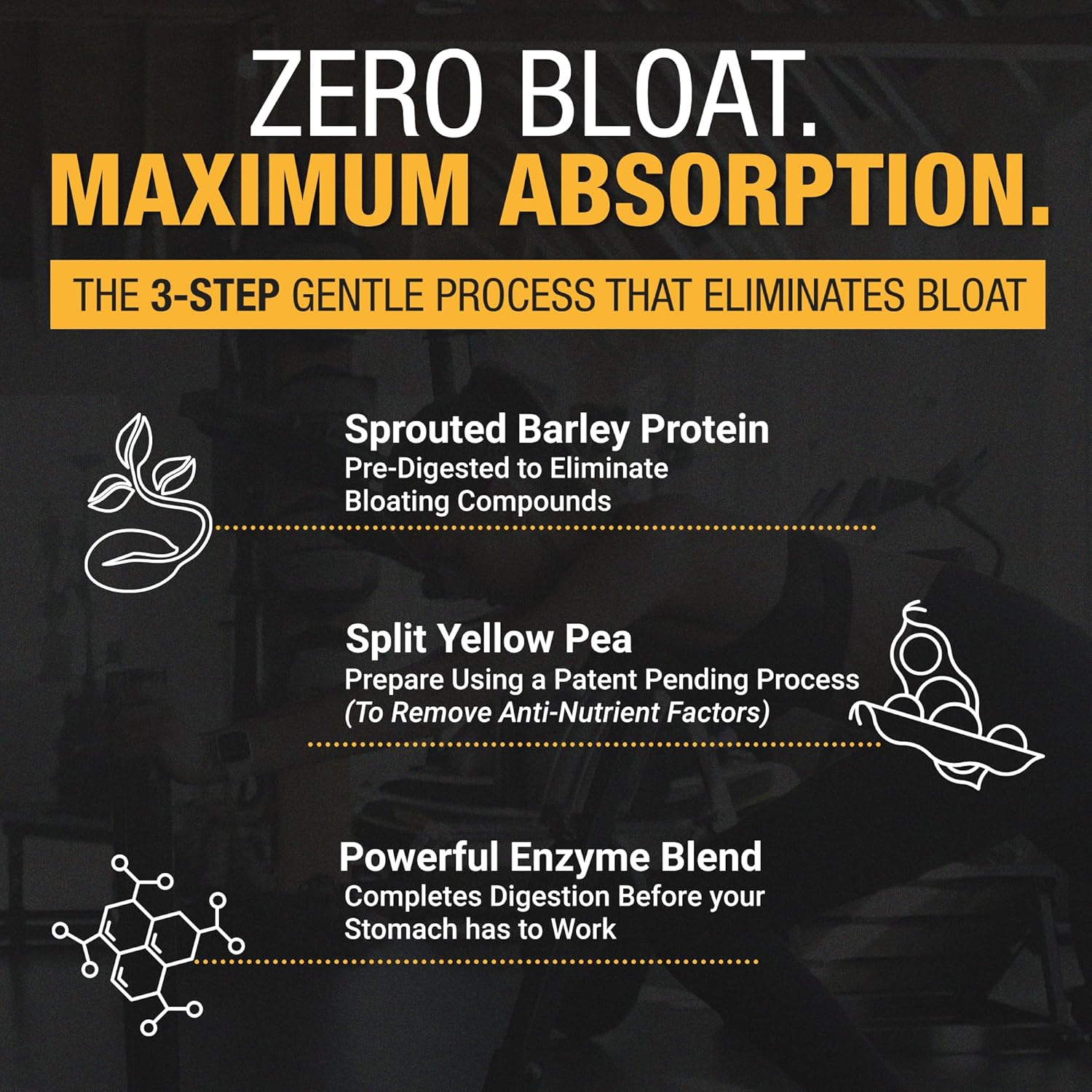 Plant-Based Protein Powder for Men and Women – 30g Complete Plant Protein and 3g Leucine, Zero Bloat, Gourmet Cocoa, Smooth Texture, Dark Chocolate, 15 Servings - Scoop Not Included - Image 7