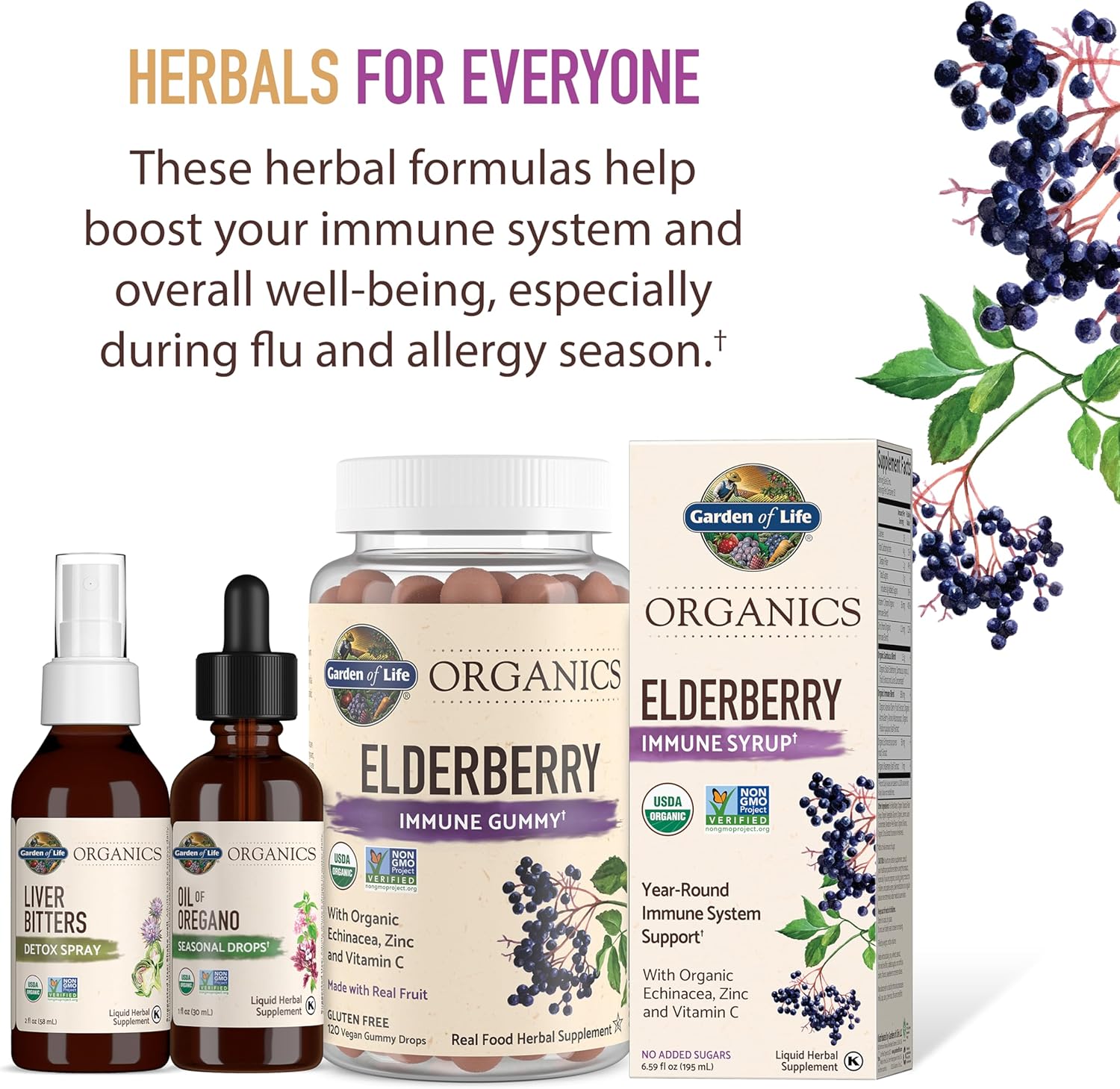 Garden of Life Organics Plant Based Elderberry Immune Syrup 6.59 floz (195 mL) for Kids & Adults - Sambucus, Echinacea, Zinc & Vitamin C, 0g Sugar, Organic Vegan Gluten Free Herbal Supplement - Image 9