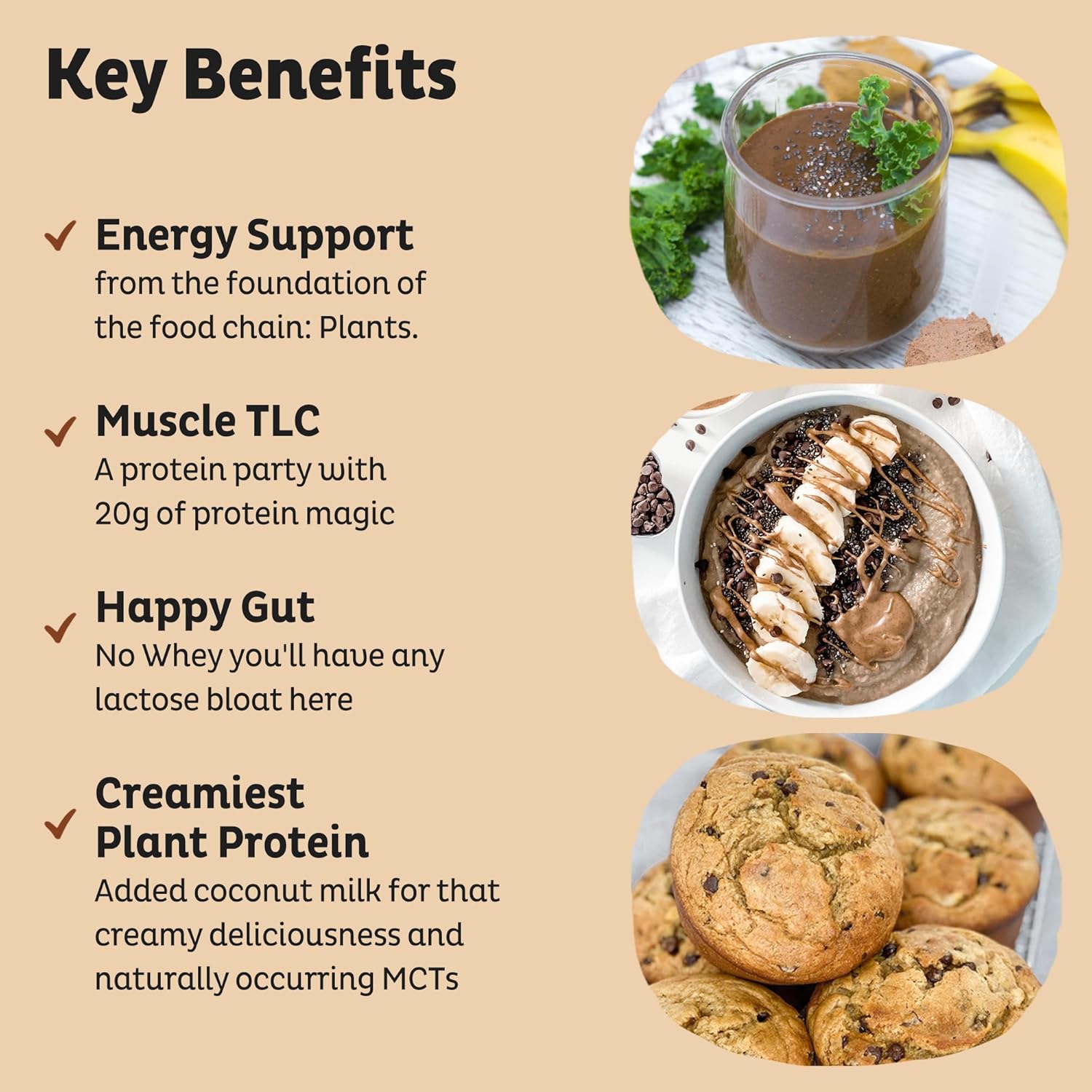 KOS Organic Plant Based Protein Powder, Chocolate Peanut Butter - Delicious Vegan Protein Powder - Keto Friendly, Gluten Free, Dairy Free & Soy Free - 15 Servings - Image 3