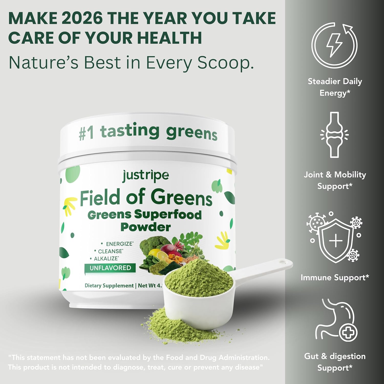 Field of Greens Superfood Powder with Organic Spirulina, Chlorella, Beet Root Powder - Bacillus Coagulans Probiotic, A Plant-Based Mix Supporting Gut Health, Immunity, 28 Scoops - Unflavored - Image 6