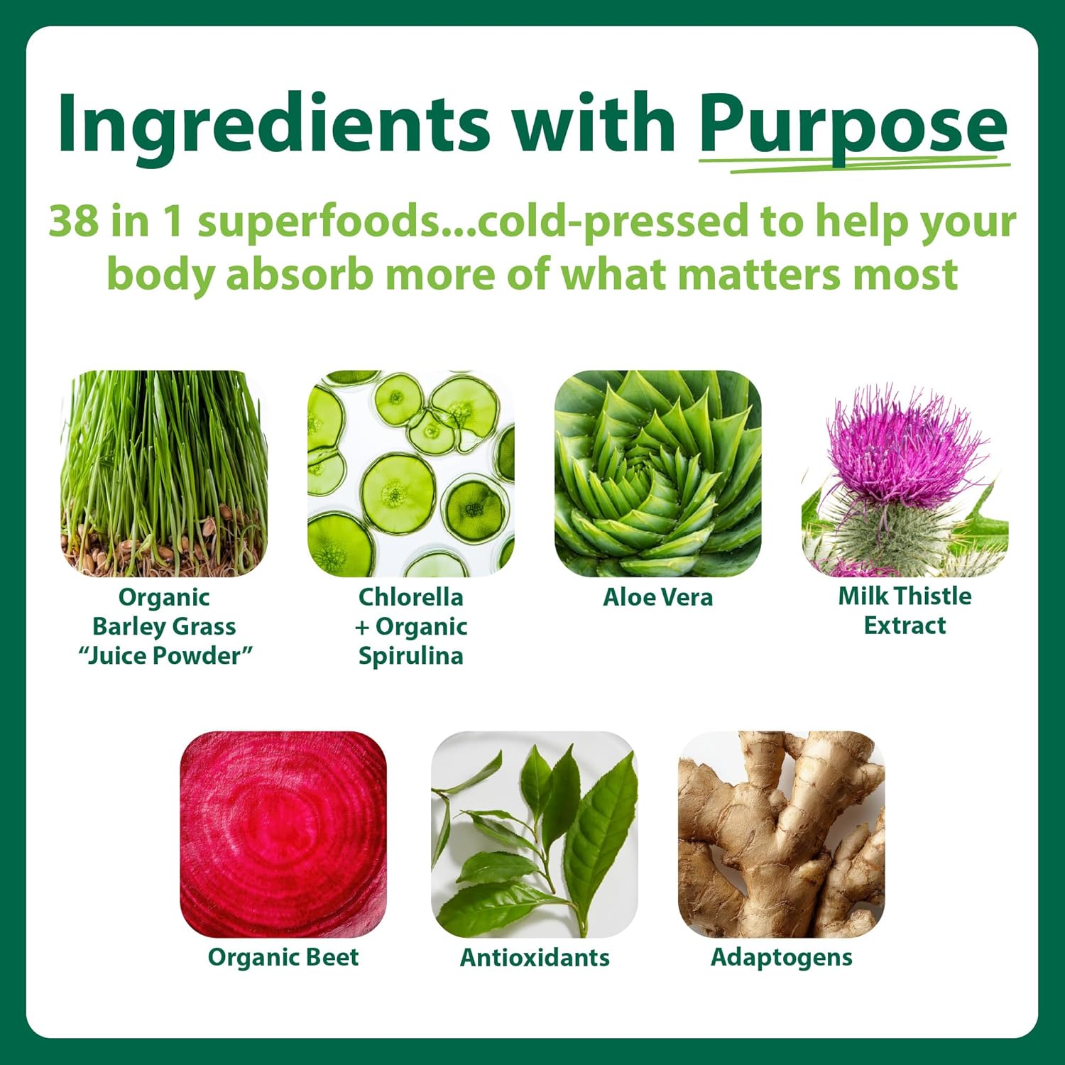 MacroLife Macro Greens Powder 38 Superfood Probiotics Antioxidants Digestive Enzymes & Adaptogen Supplement - Daily Super Green Juice & Smoothie Mix - Non-GMO Vegan Gluten-Free - 10oz (30 Servings) - Image 2