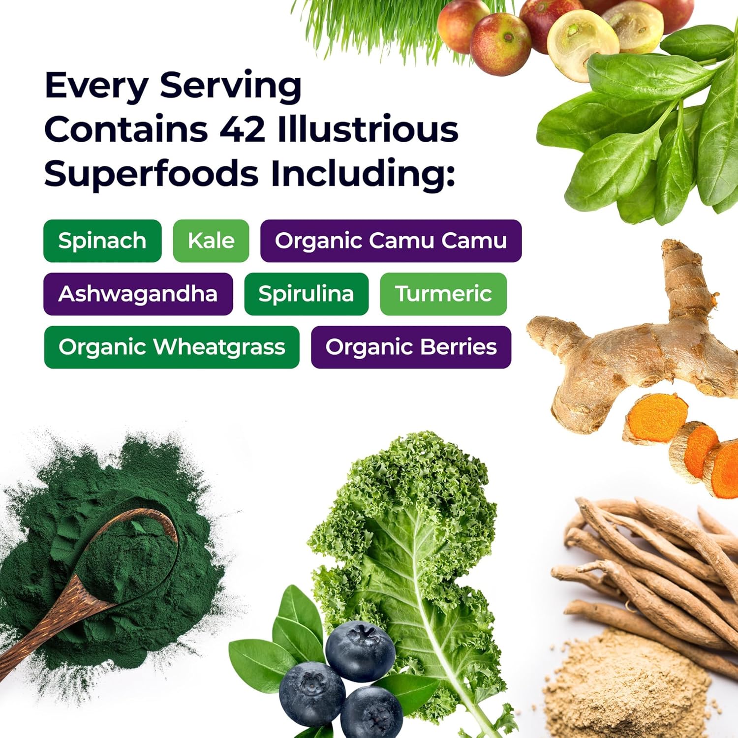 Paradise Herbs ORAC Energy Greens, Berry Superfood Powder, Over 40,000 ORAC Antioxidants, Organic Greens, Berries, Mushrooms & Probiotics, Non-GMO, Gluten-Free, 25 Servings - Image 2