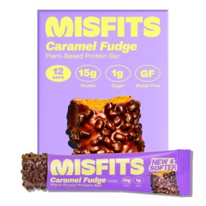 Misfits Vegan Protein Bars – ...