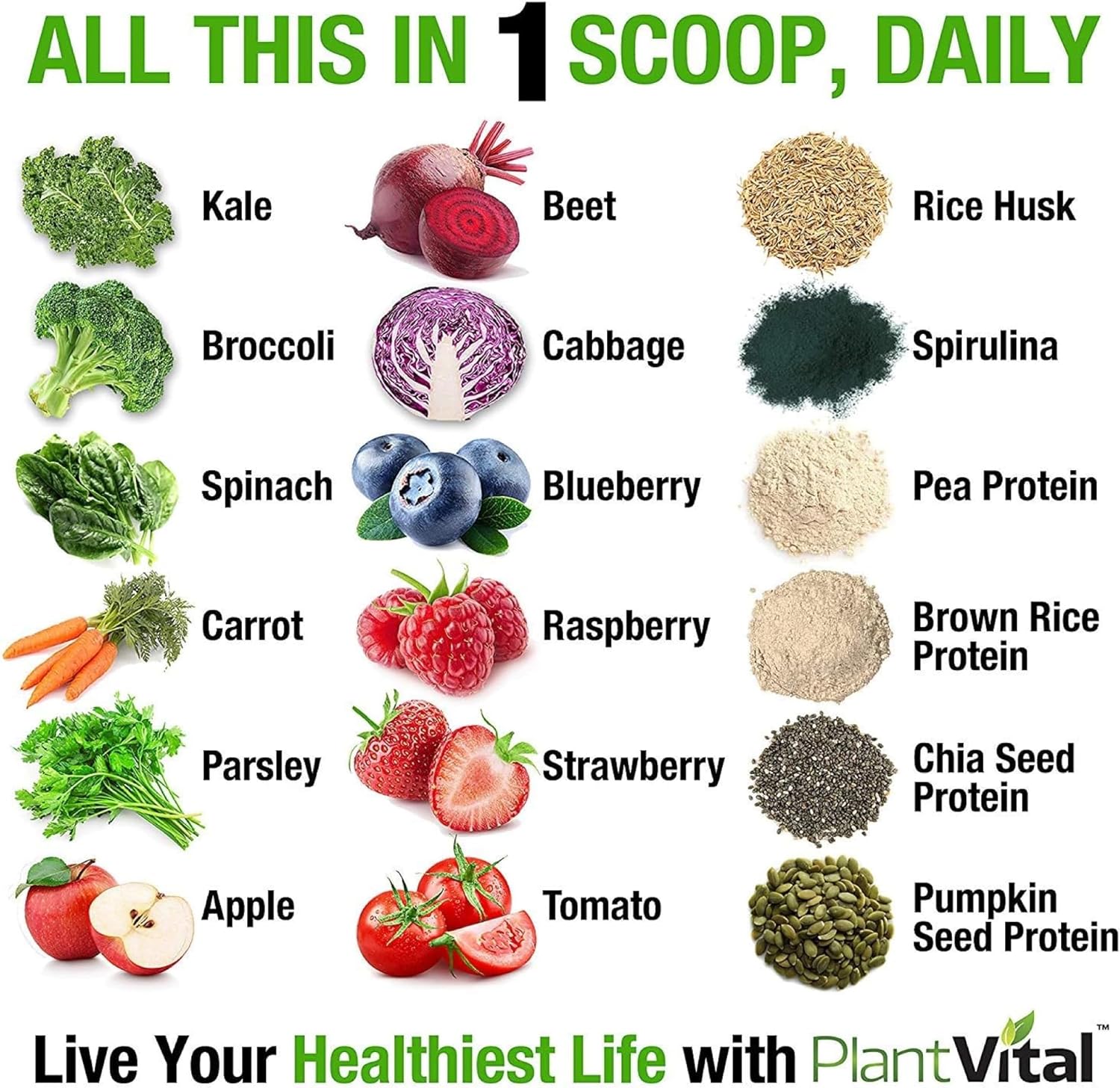 Plantvital Unflavored Organic Vegan Protein Powder - 15 Superfoods, Veggies and Probiotics - Organic Plant-Based Protein Powder - All BCAA’s, Gluten Free - 16oz -1 Pouch - Image 2