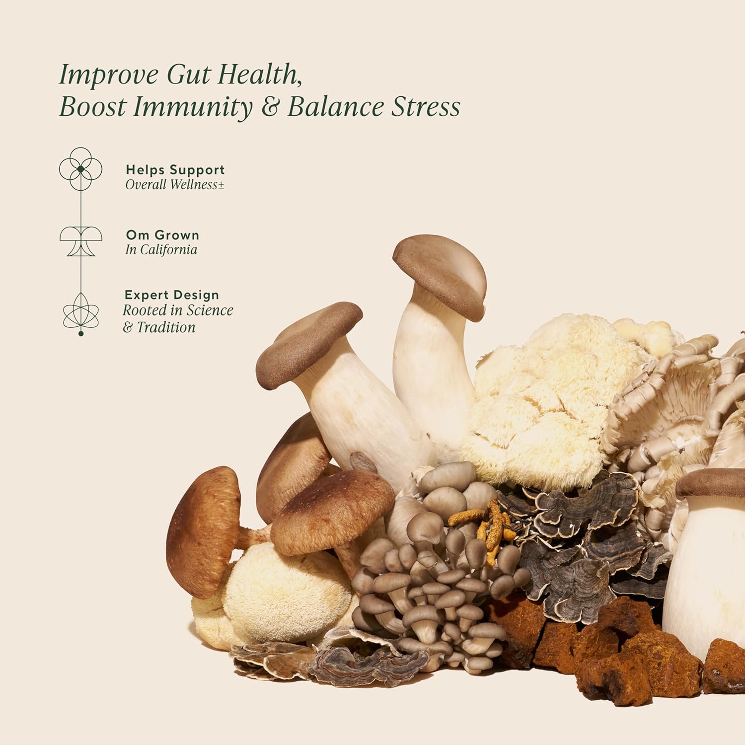 OM Mushrooms Master Blend Mushroom Powder – Organic Mushroom Supplement with 10 Mushrooms and Ashwagandha - Support Immunity, Gut Health & Stress Relief, 6.34 oz (80 Servings) - Image 3